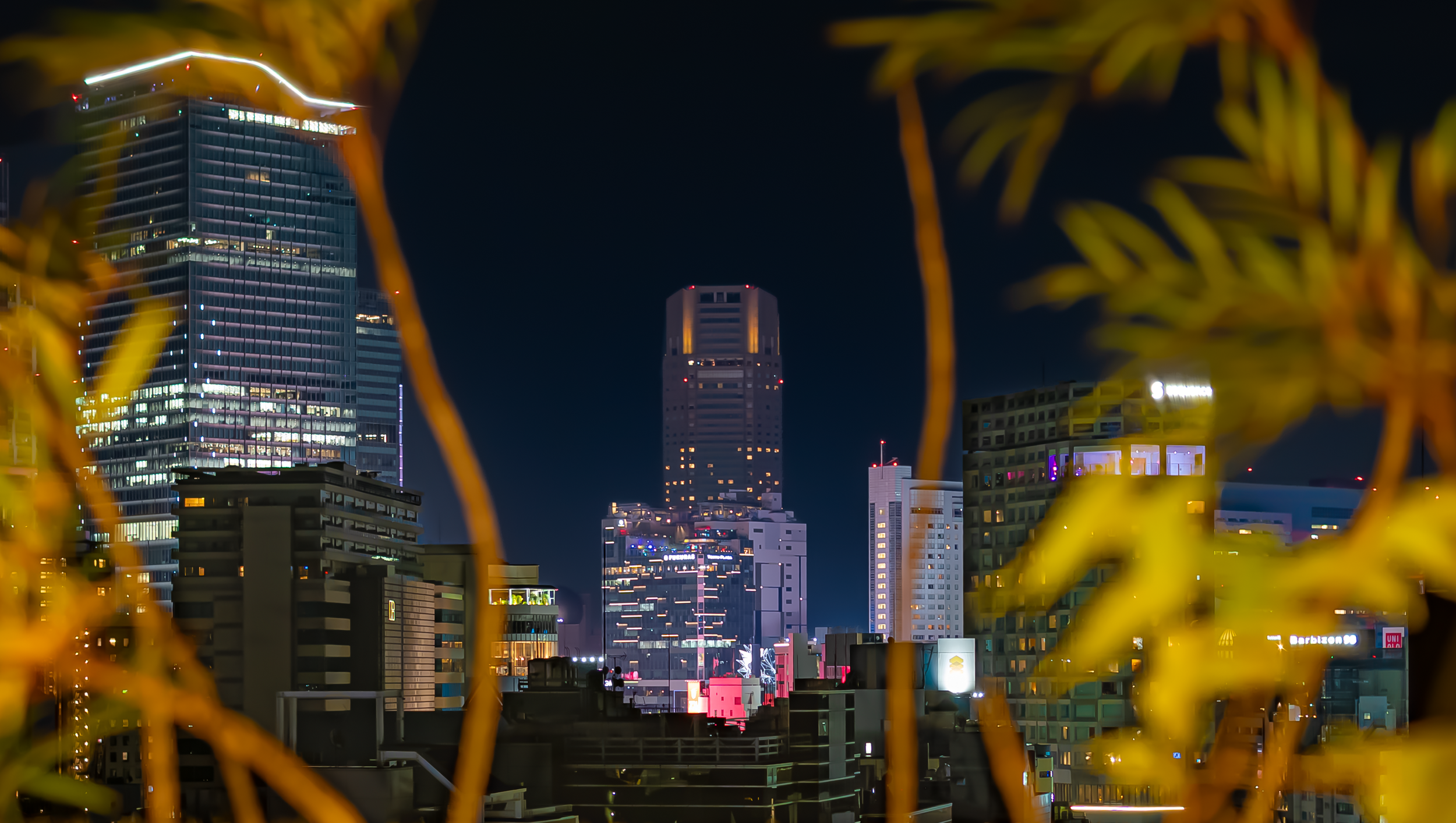 DSC00117.png