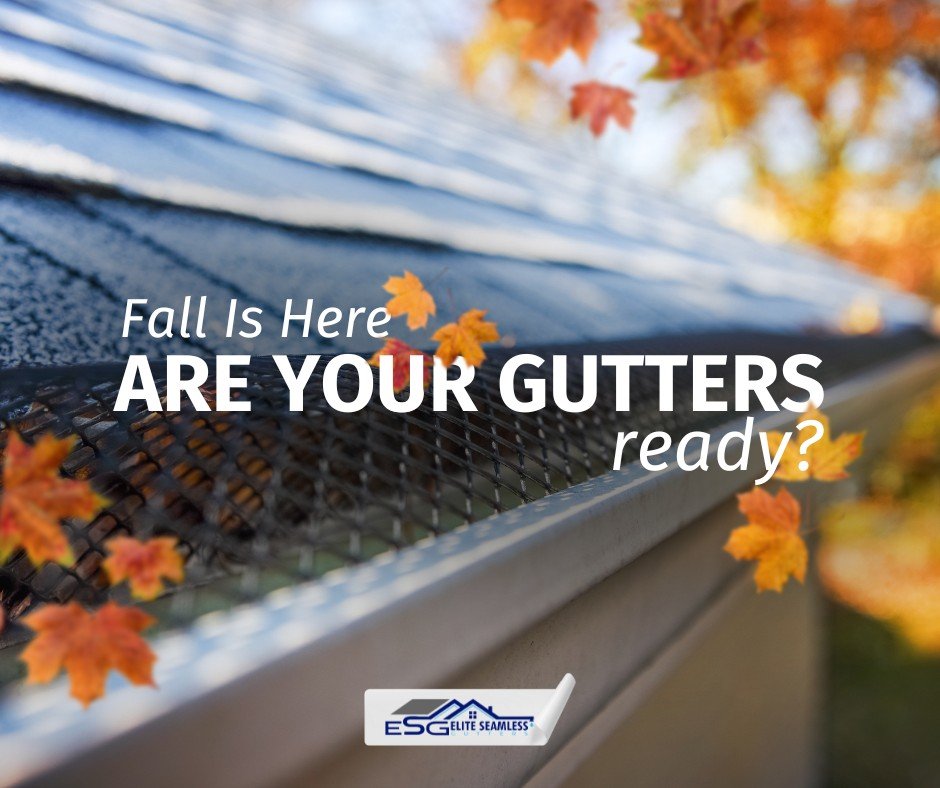 Fall Is Here&mdash;Are Your Gutters Ready?

Falling leaves can clog your gutters and cause major water damage. Elite Seamless Gutters keeps your home protected and leaf-free!

📲 Call us today for a FREE gutter guard quote! (318) 709-4447