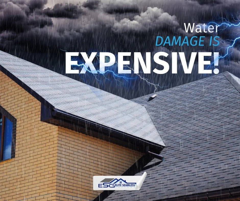 Water Damage Is Expensive! 
Poor drainage can wreck your foundation, roof, and walls. Protect your home with Elite Seamless Gutters before it's too late.

📲 Get a FREE quote today and save on future repair costs. Call us now! (318) 709-4447