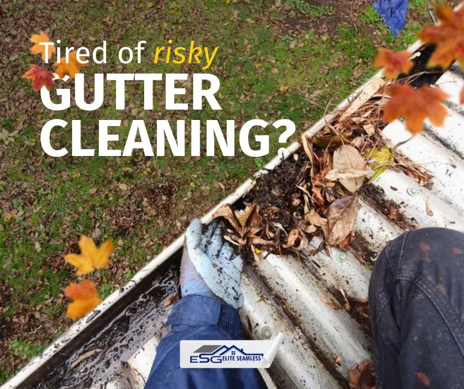 Tired of Risky Gutter Cleaning? ✅

Skip the ladder and protect your home with Elite Gutter Guards, designed to keep your gutters clear year-round.

📲 Call for a FREE quote today and stop worrying about gutter maintenance! (318) 709-4447