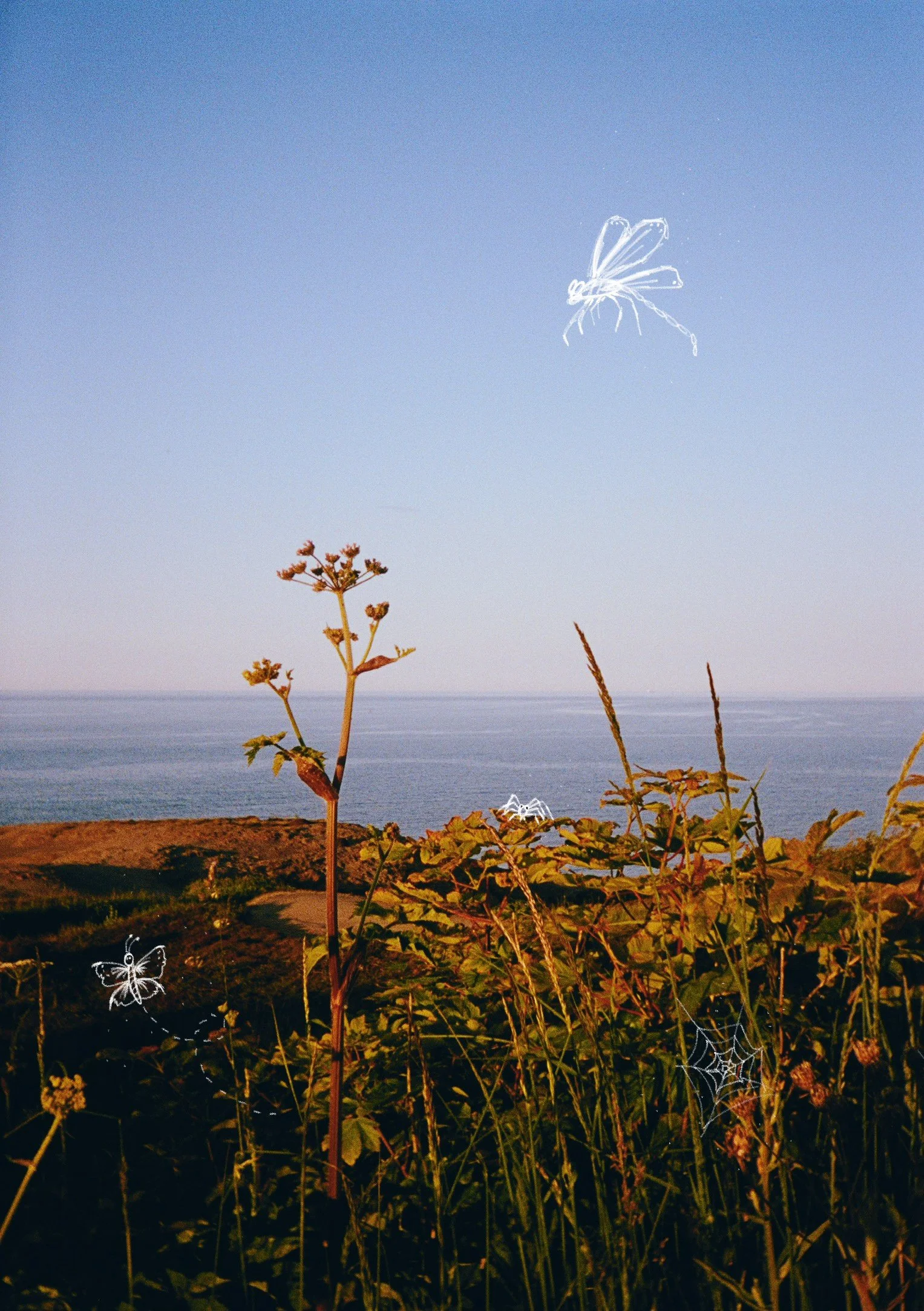 0033-48442_VSCO.jpg