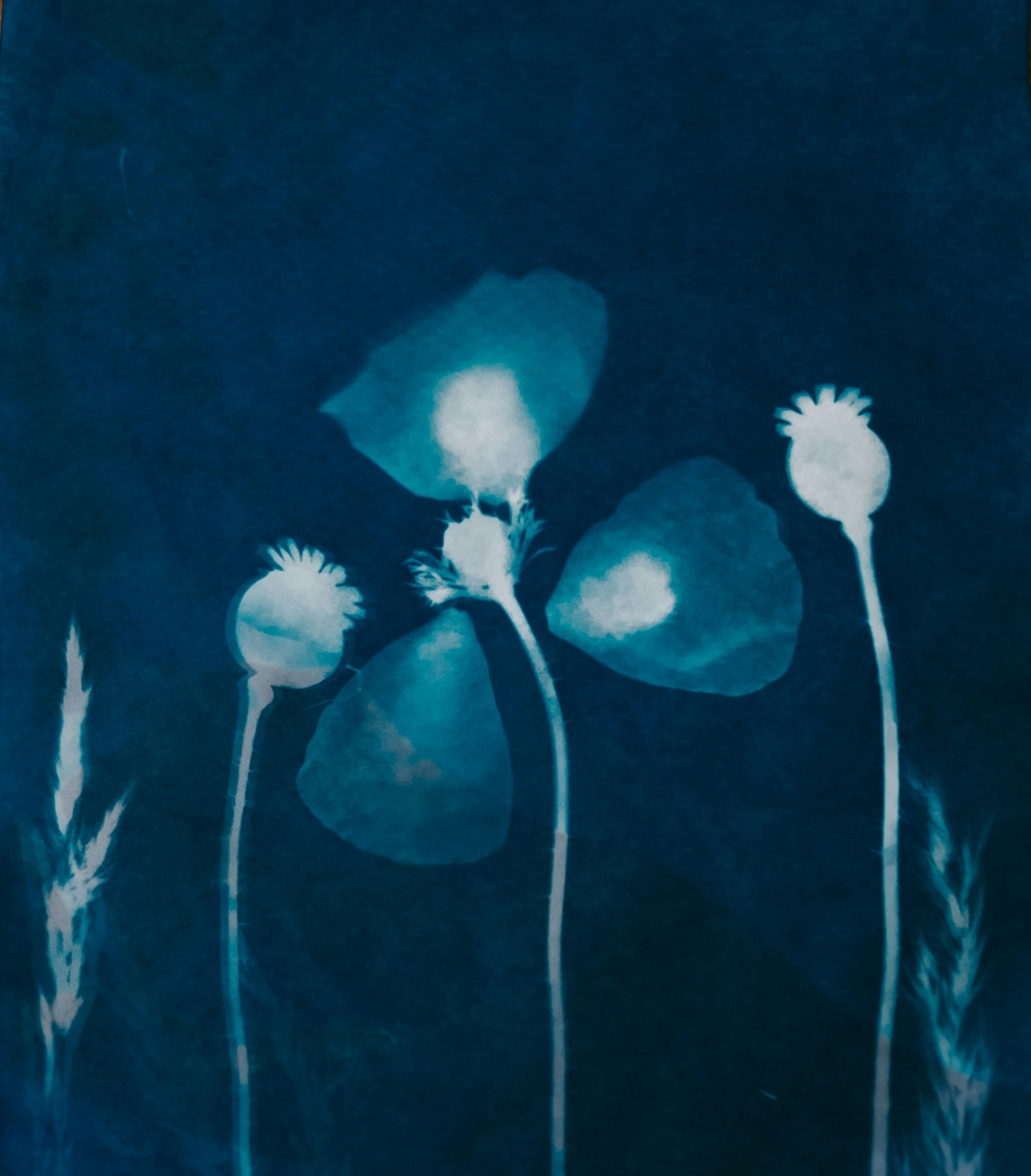 Blue-hued image of glowing jellyfish-like objects with rounded tops and tentacle-like structures hanging beneath them, floating against a dark background.