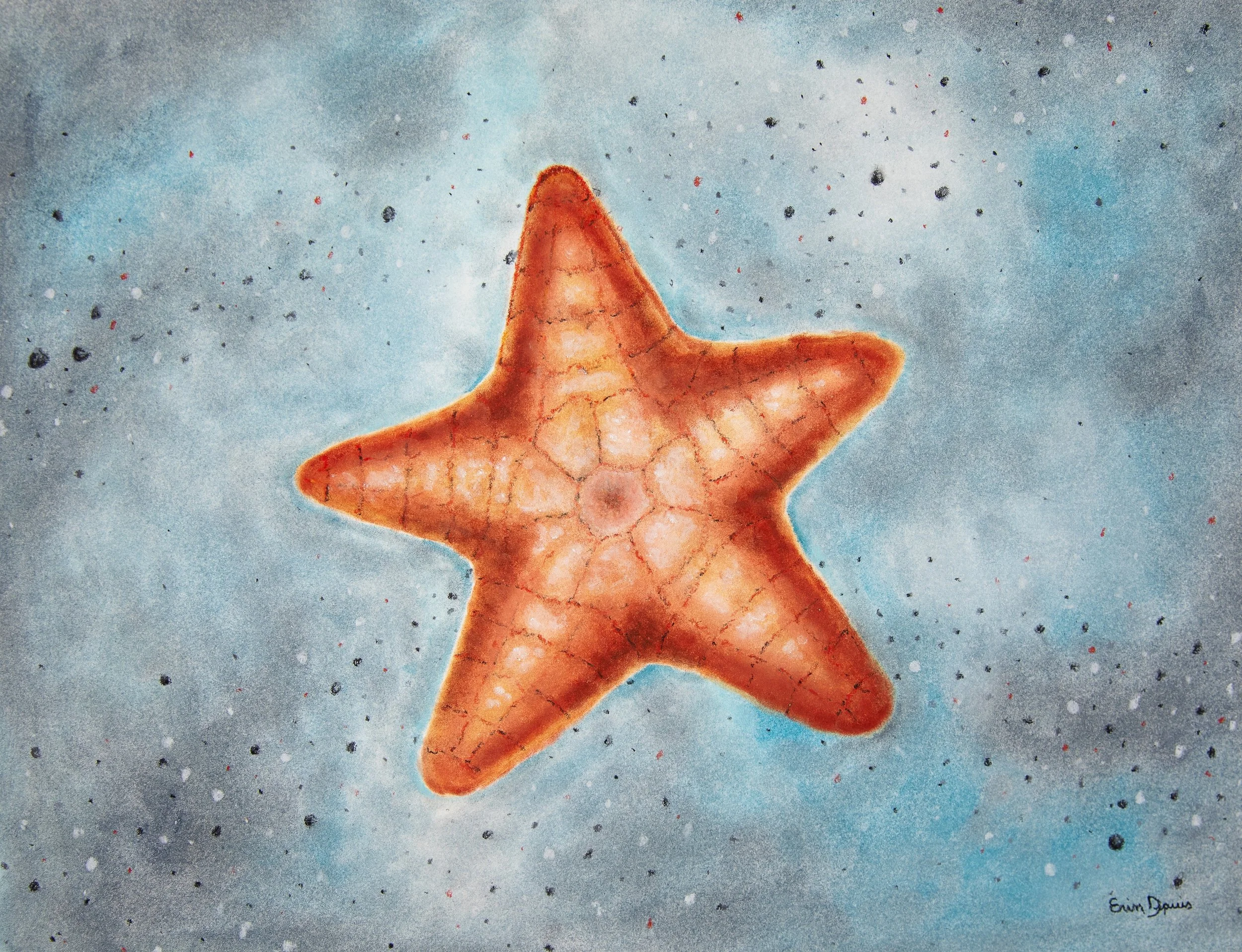 Starfish high res.jpg