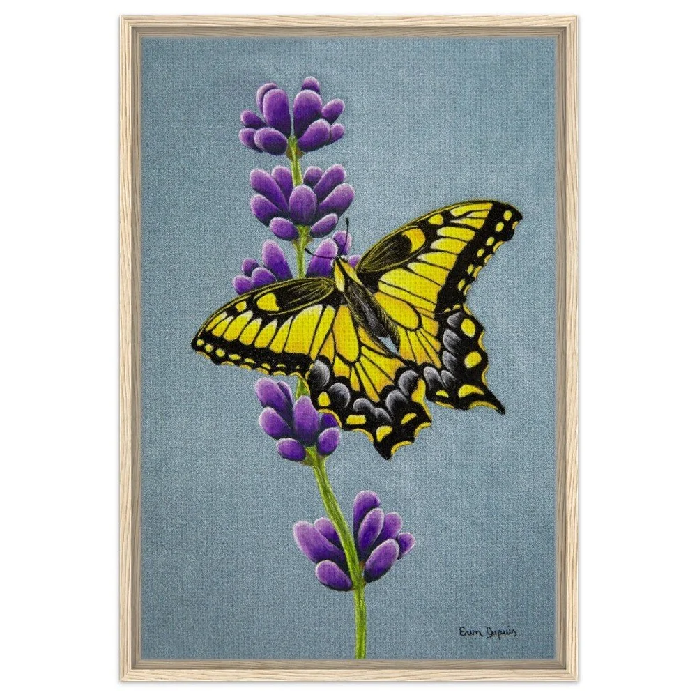 Swallowtail and Lavender Framed Canvas