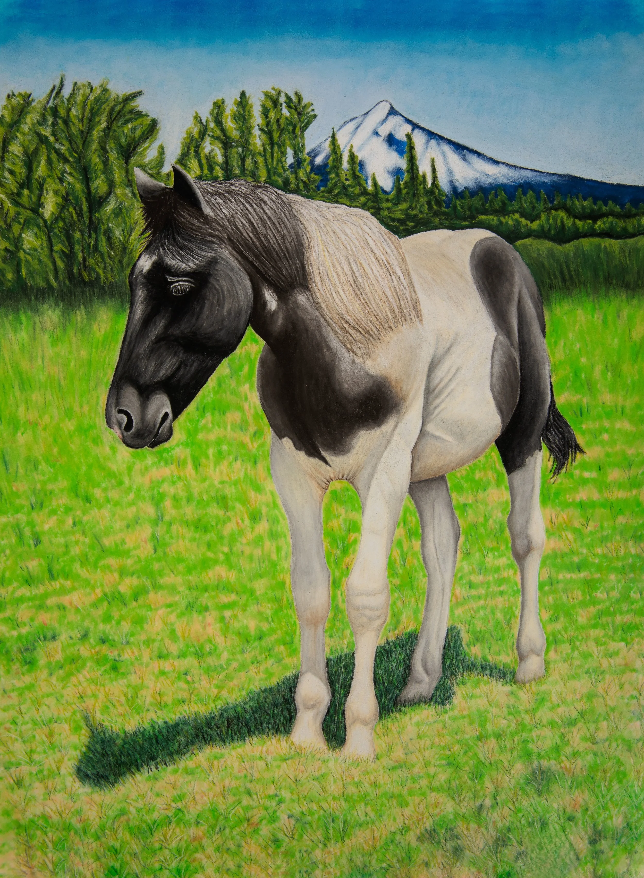Black Butte Horse 2.JPG