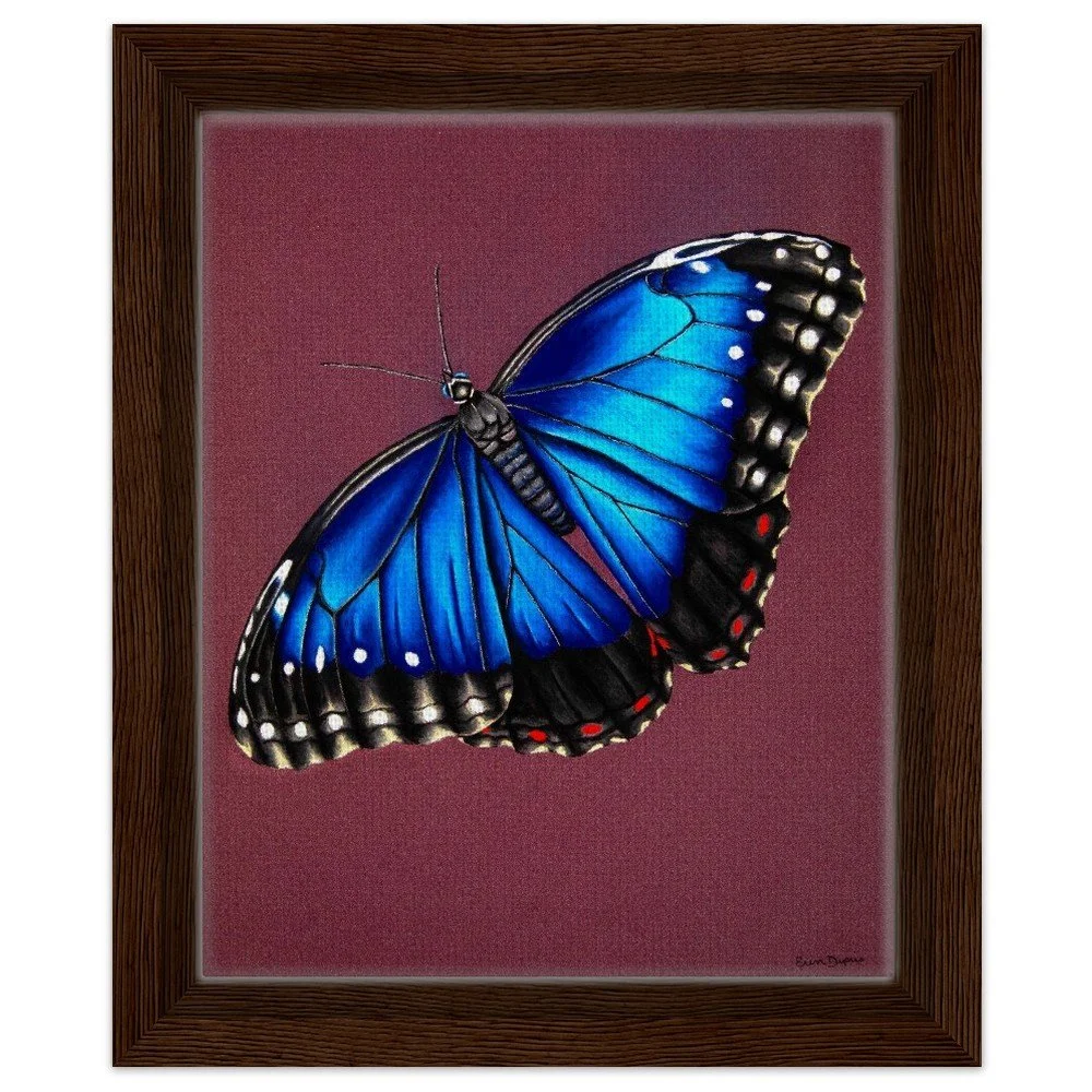 Blue Butterfly Framed Canvas
