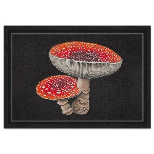 Amanita Wild Mushroom Framed Canvas
