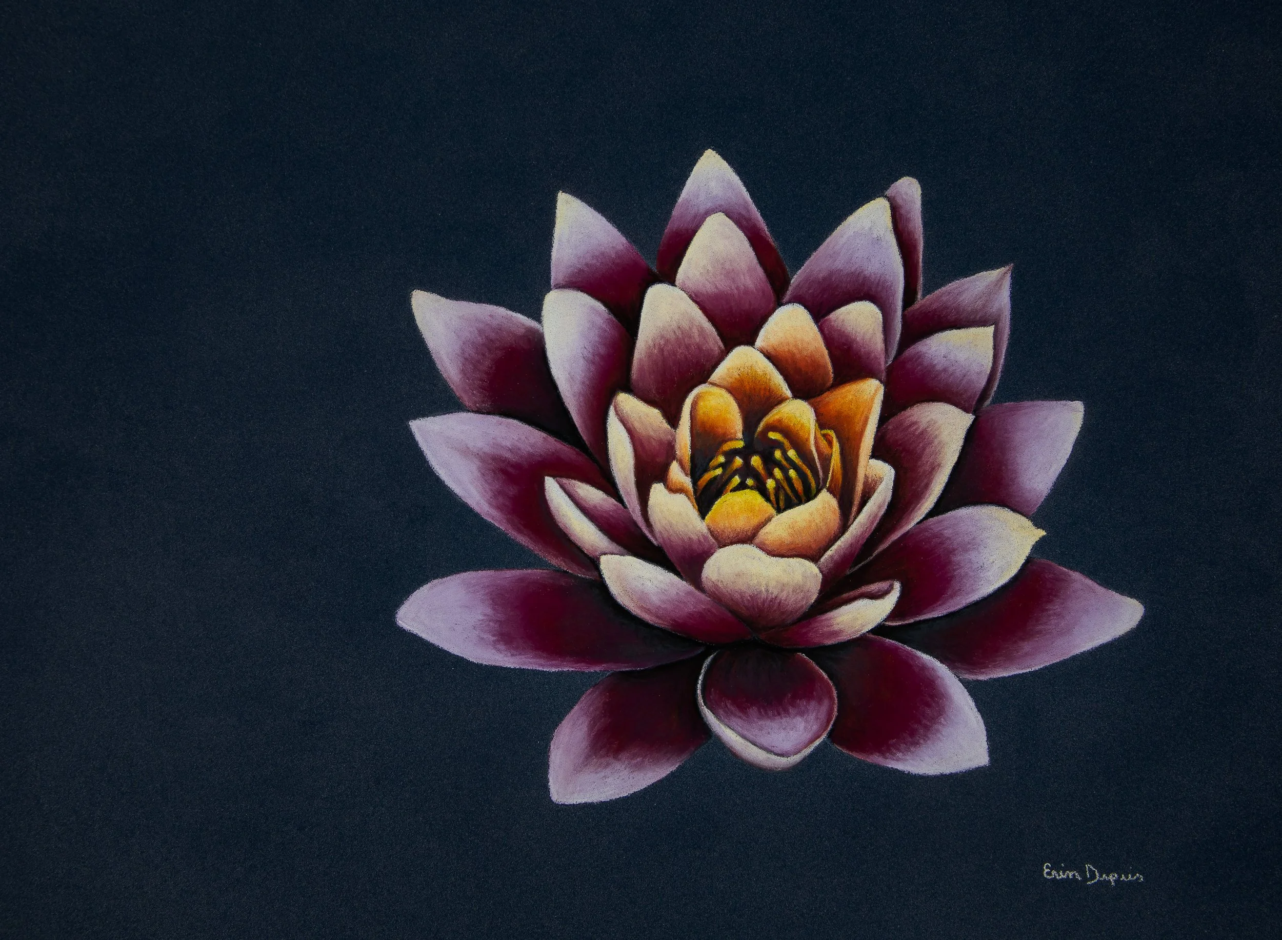 Lotus Flower.JPG