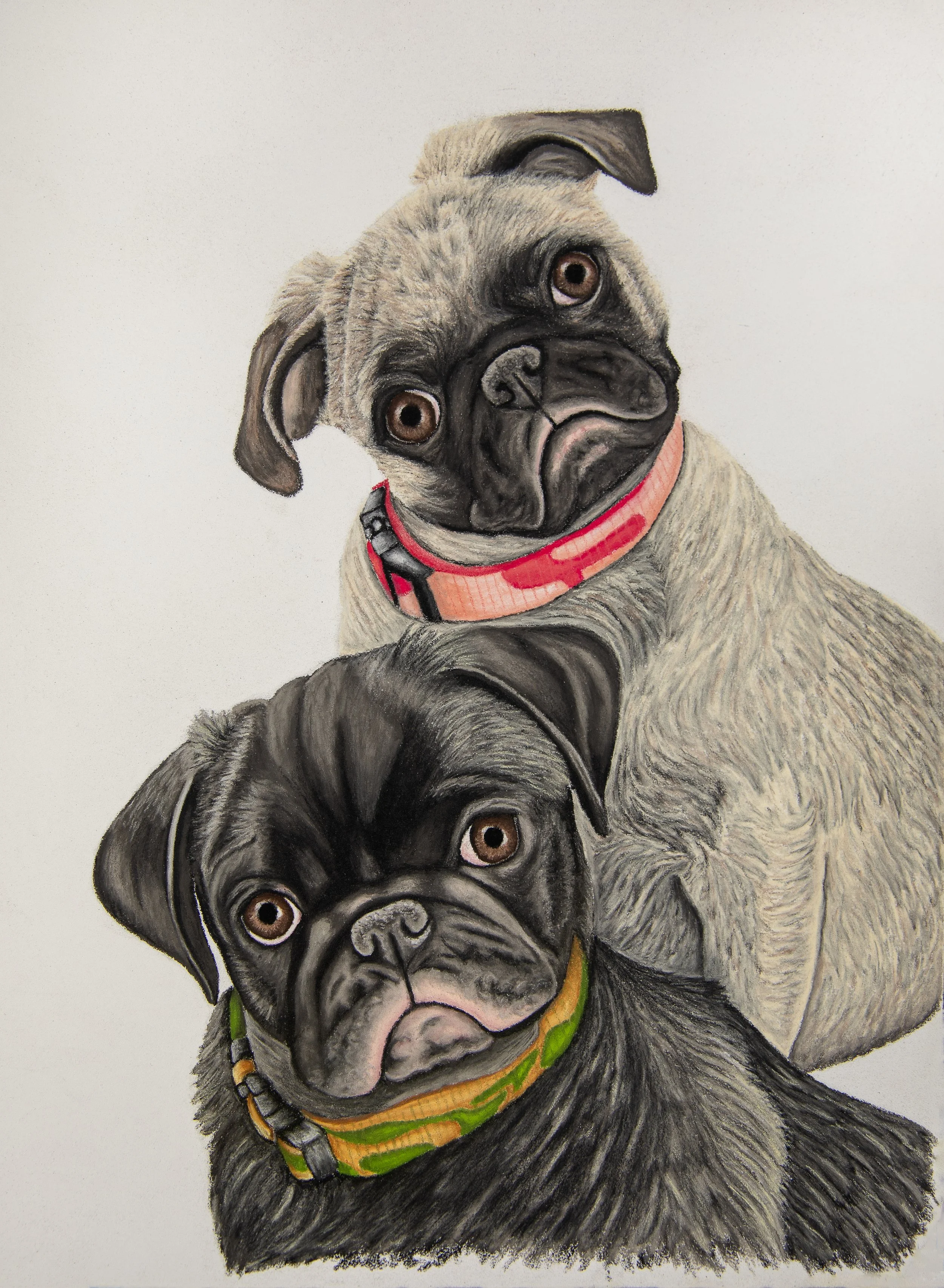 Bella and Bleu.JPG
