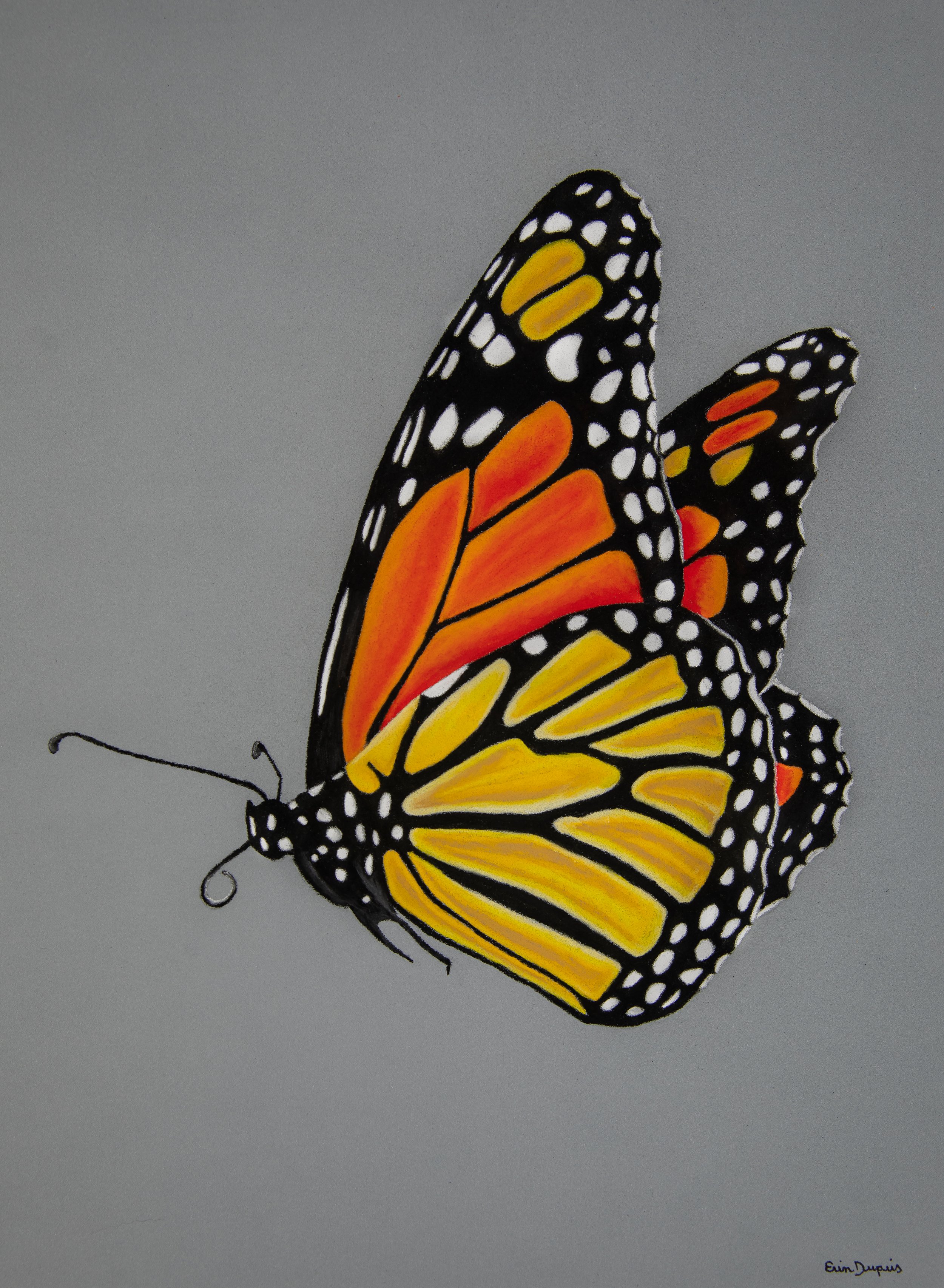 Monarch.JPG