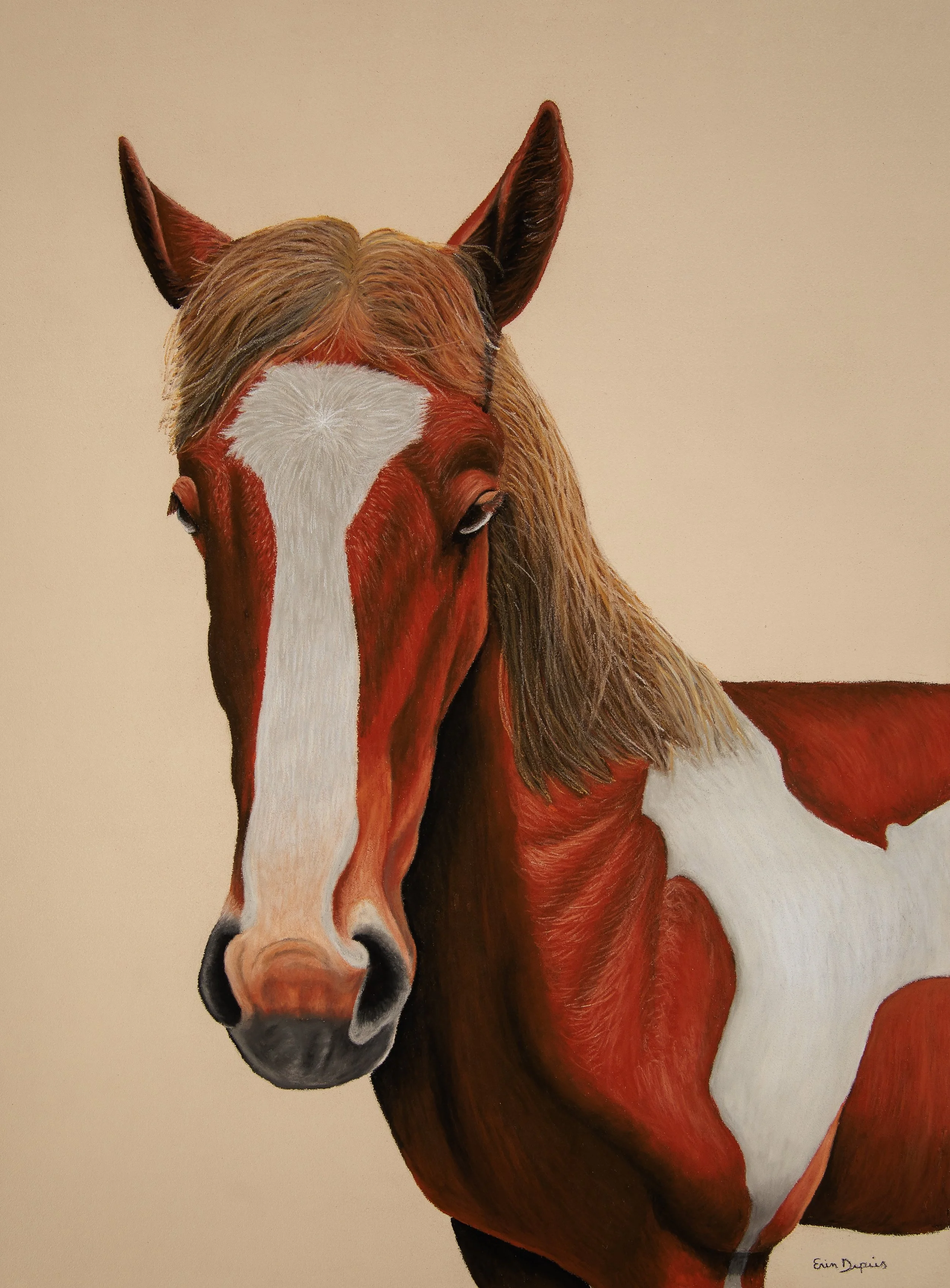 Black Butte Horse 1.JPG