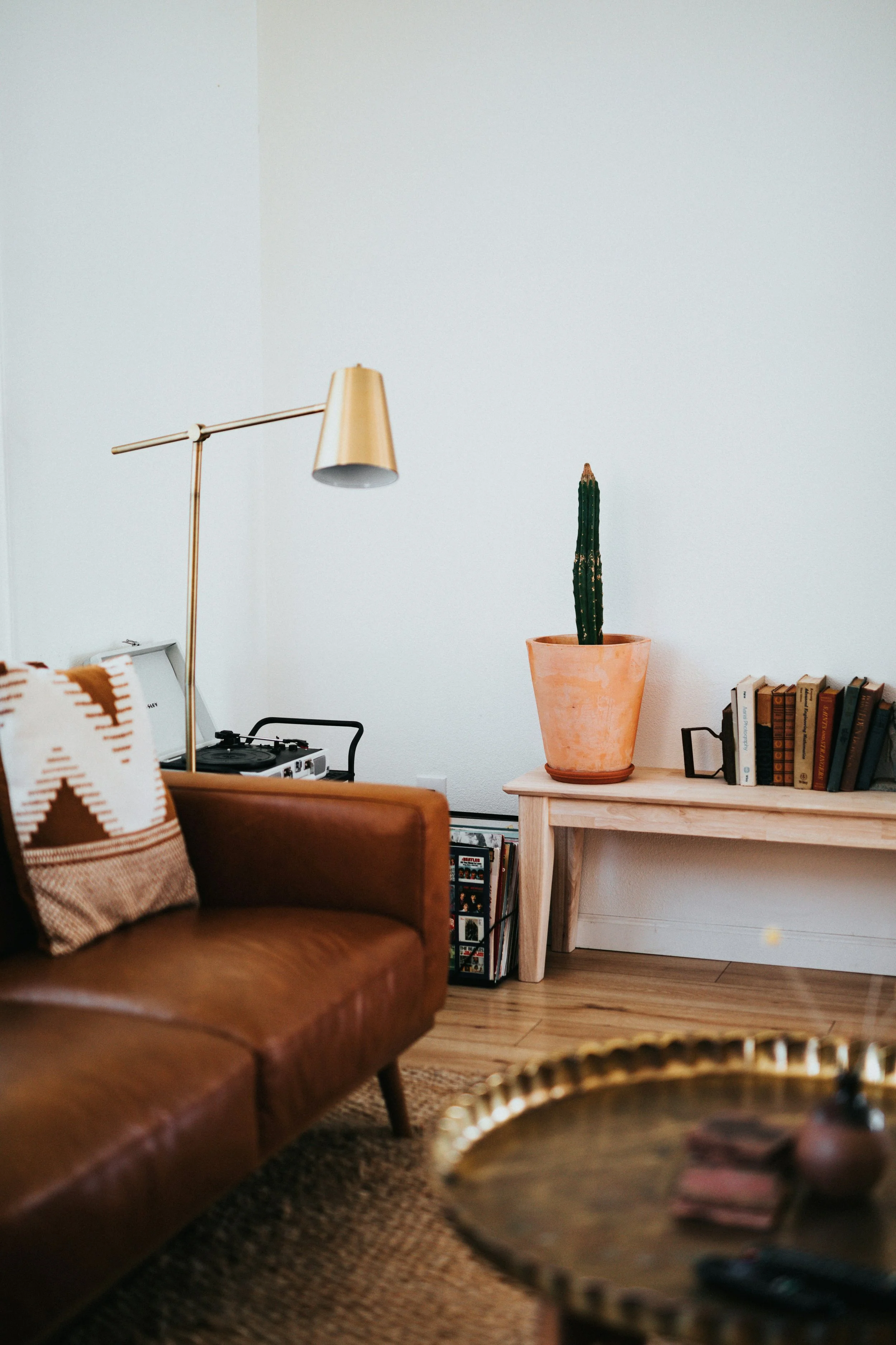 Living room with brown leather sofa, patterned pillow, lamp, potted cactus on a small table, bookshelf with books, and a record player.