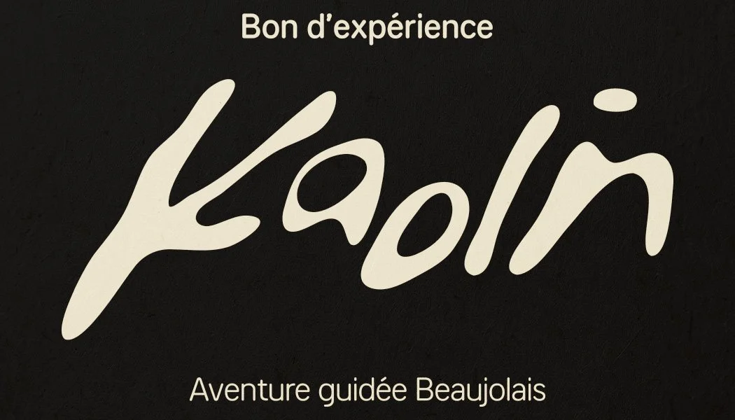 Carte cadeau - Découvrir le Beaujolais avec un guide