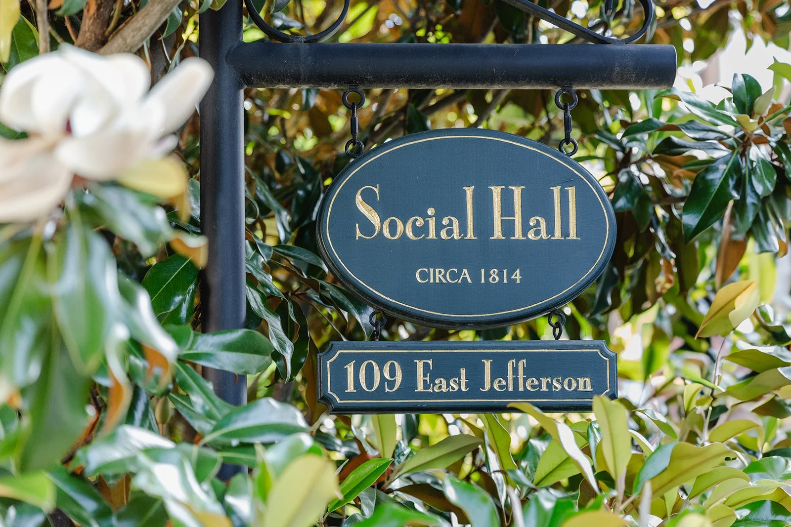 2M3A5615social hall5760 x 3840.jpg