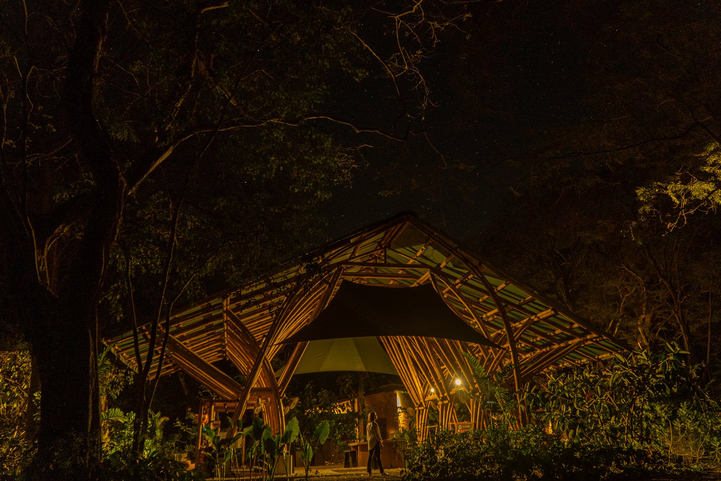 Night Aerial Adventure photo-02.jpg