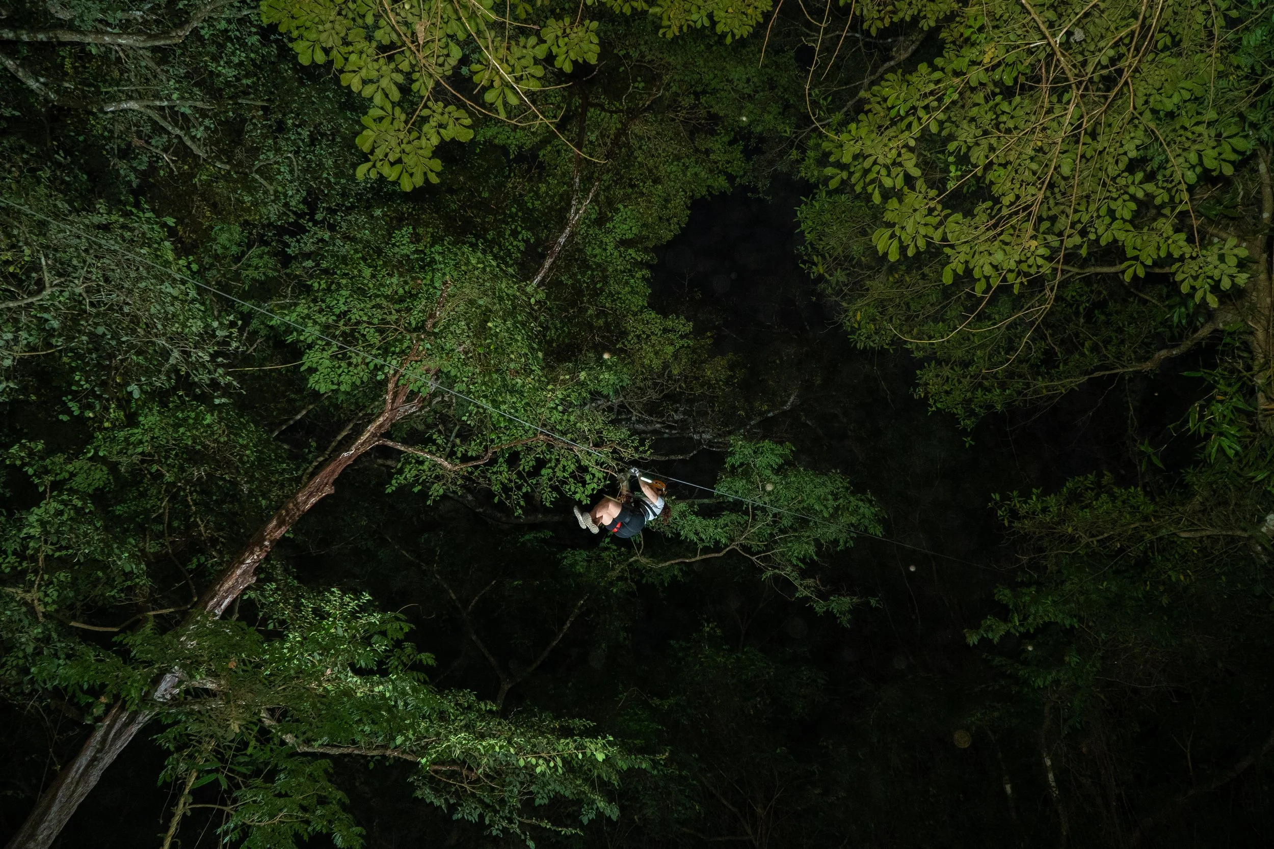 Night_zipline2.jpg
