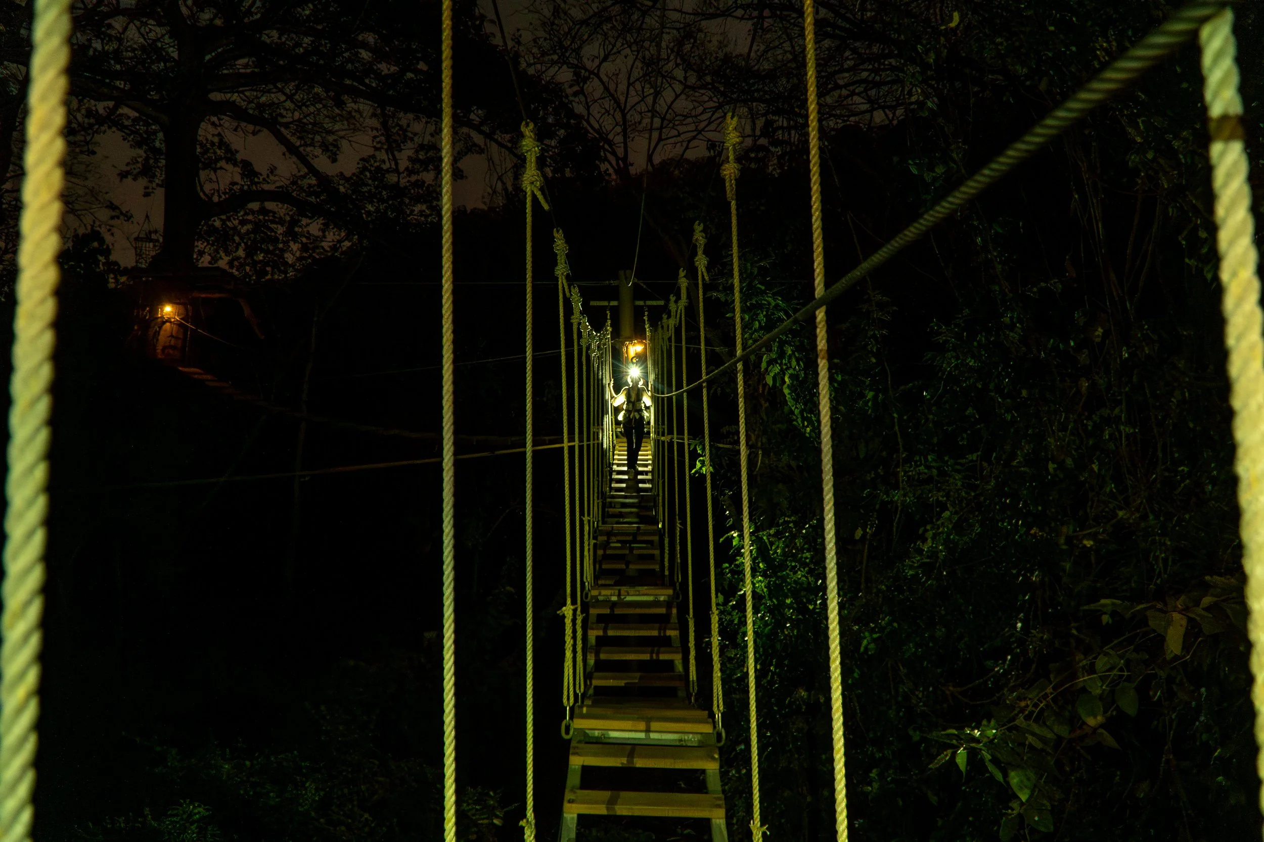 Night Aerial Adventure photo-23.jpg