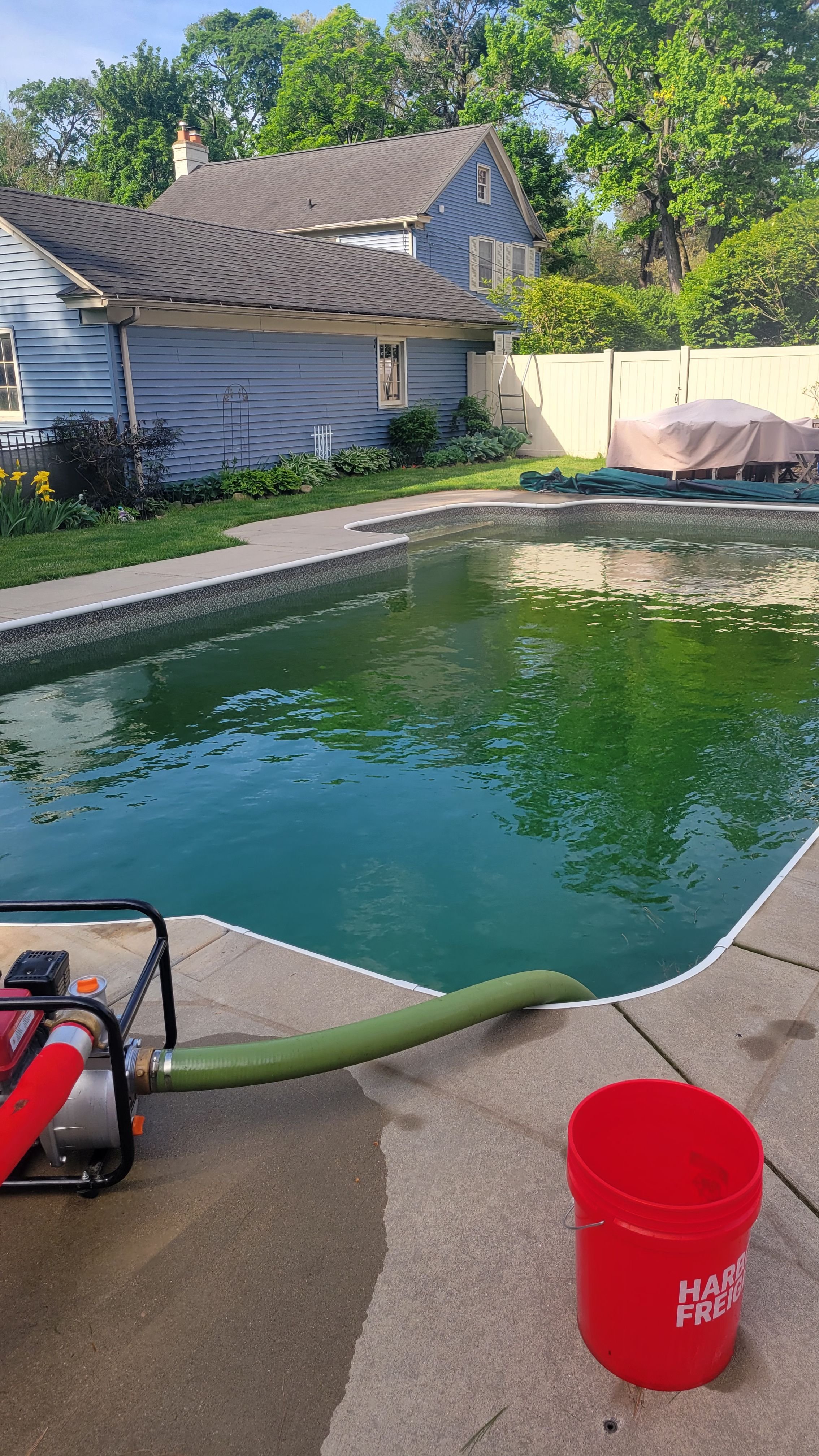 An American backyard with a swimming pool, blue house, green trees, and a white fence. Pool equipment and a red Harv Ferg bucket are in the foreground.