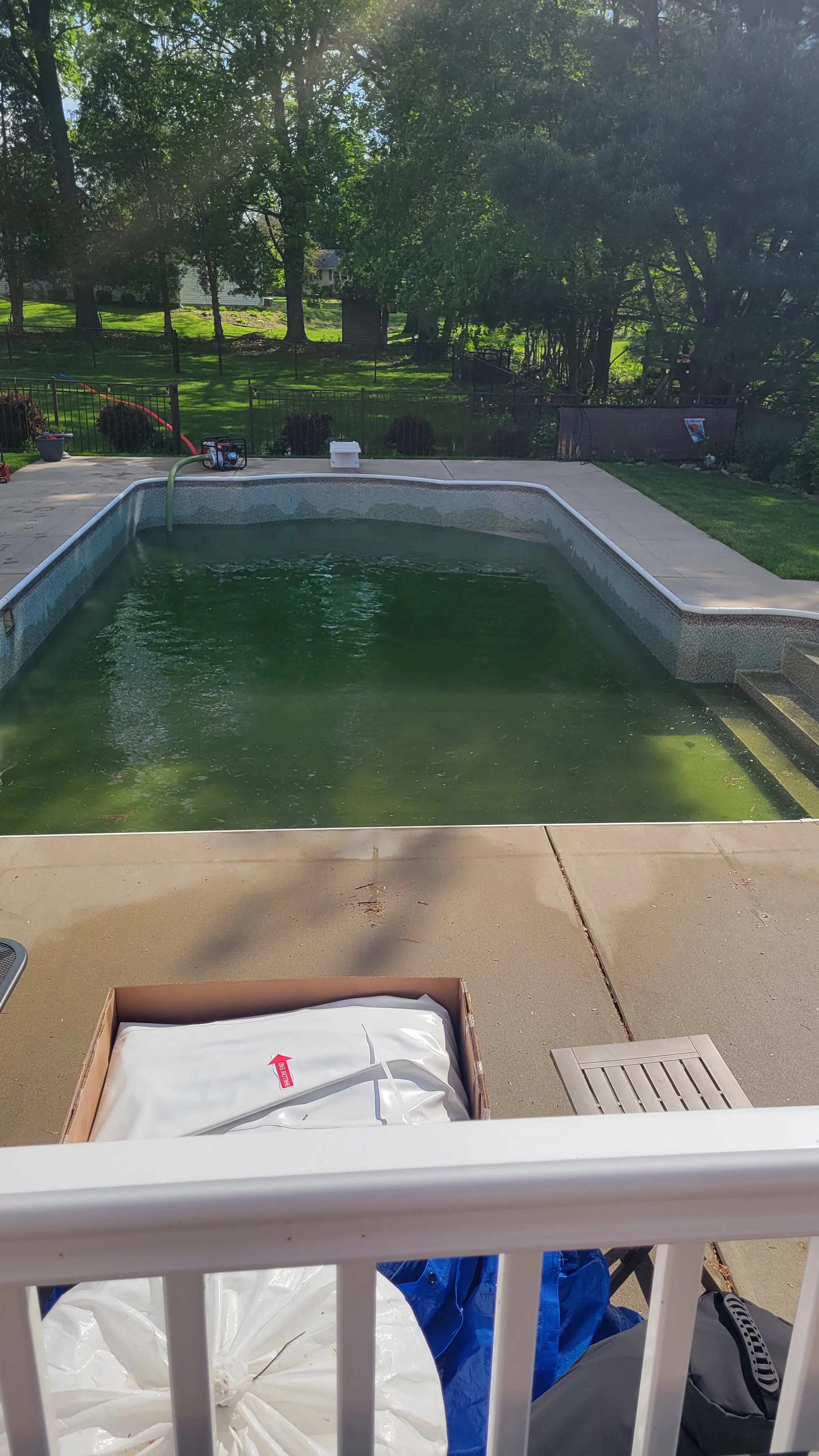 A backyard swimming pool with green algae on the water's surface, surrounded by a concrete deck. In the foreground, there are bags and boxes, possibly for cleaning or maintenance supplies. The background shows a lush green yard with trees and a fence.