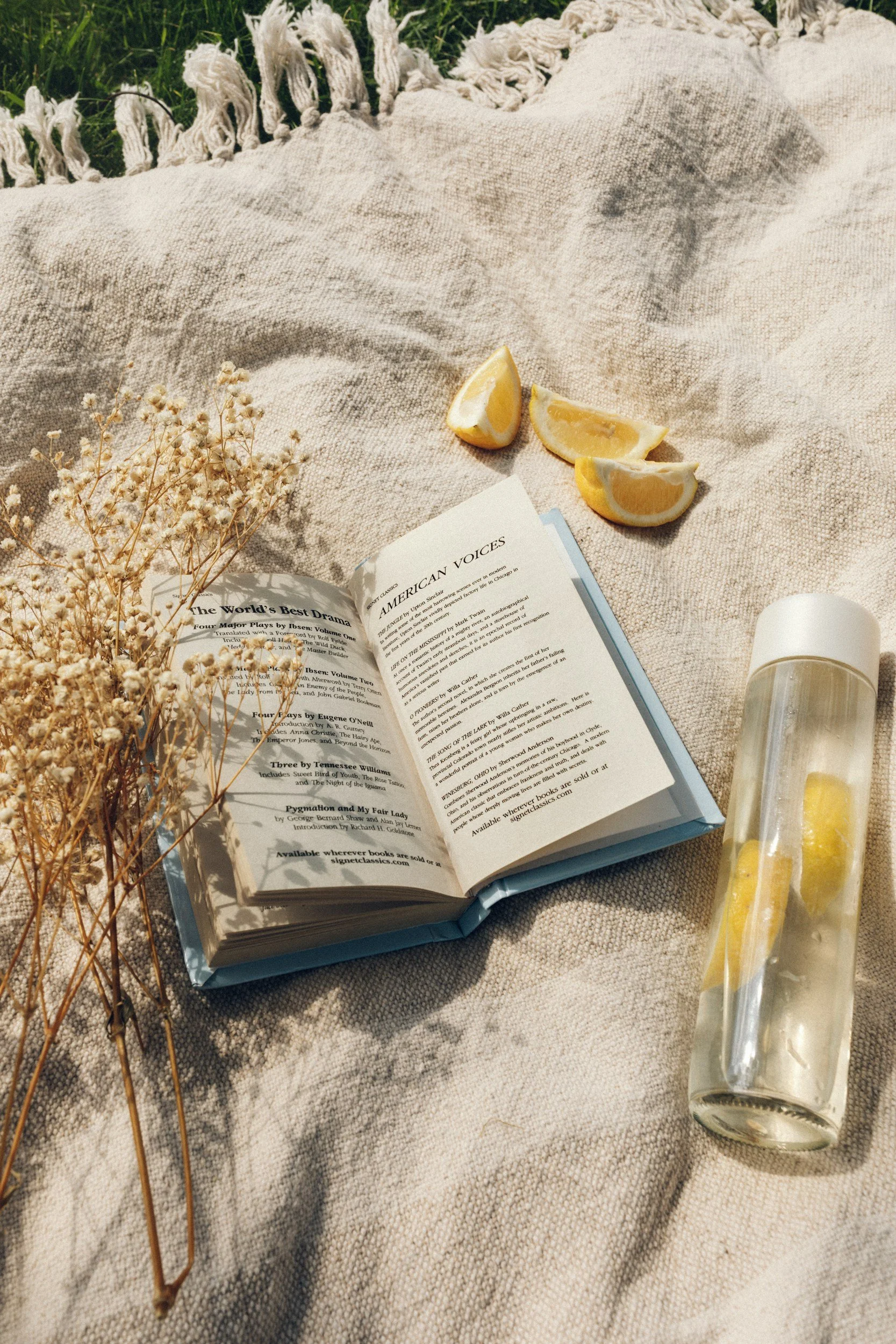 Open book with a list of American plays, dried flowers, lemon wedges, and a glass bottle with a yellow liquid, all placed on a beige blanket outdoors.