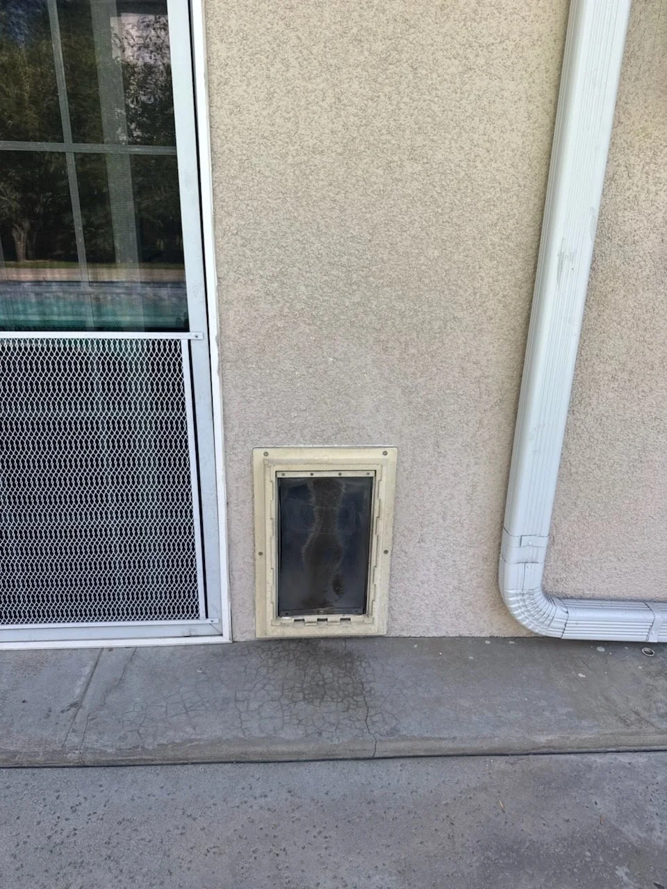 Exterior wall of building with a small pet door and a white gutter pipe. The pet door is in the lower part of the wall next to a sliding glass door.