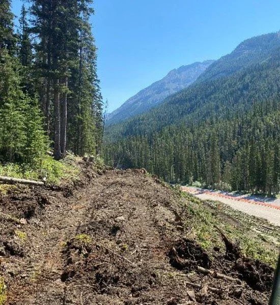 Land Clearing Services