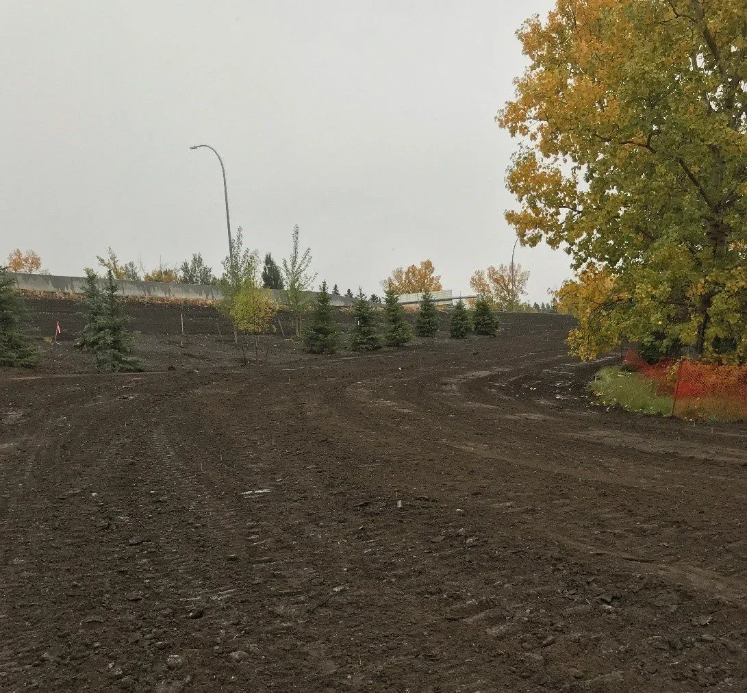 Landscaping-1.jpg.webp