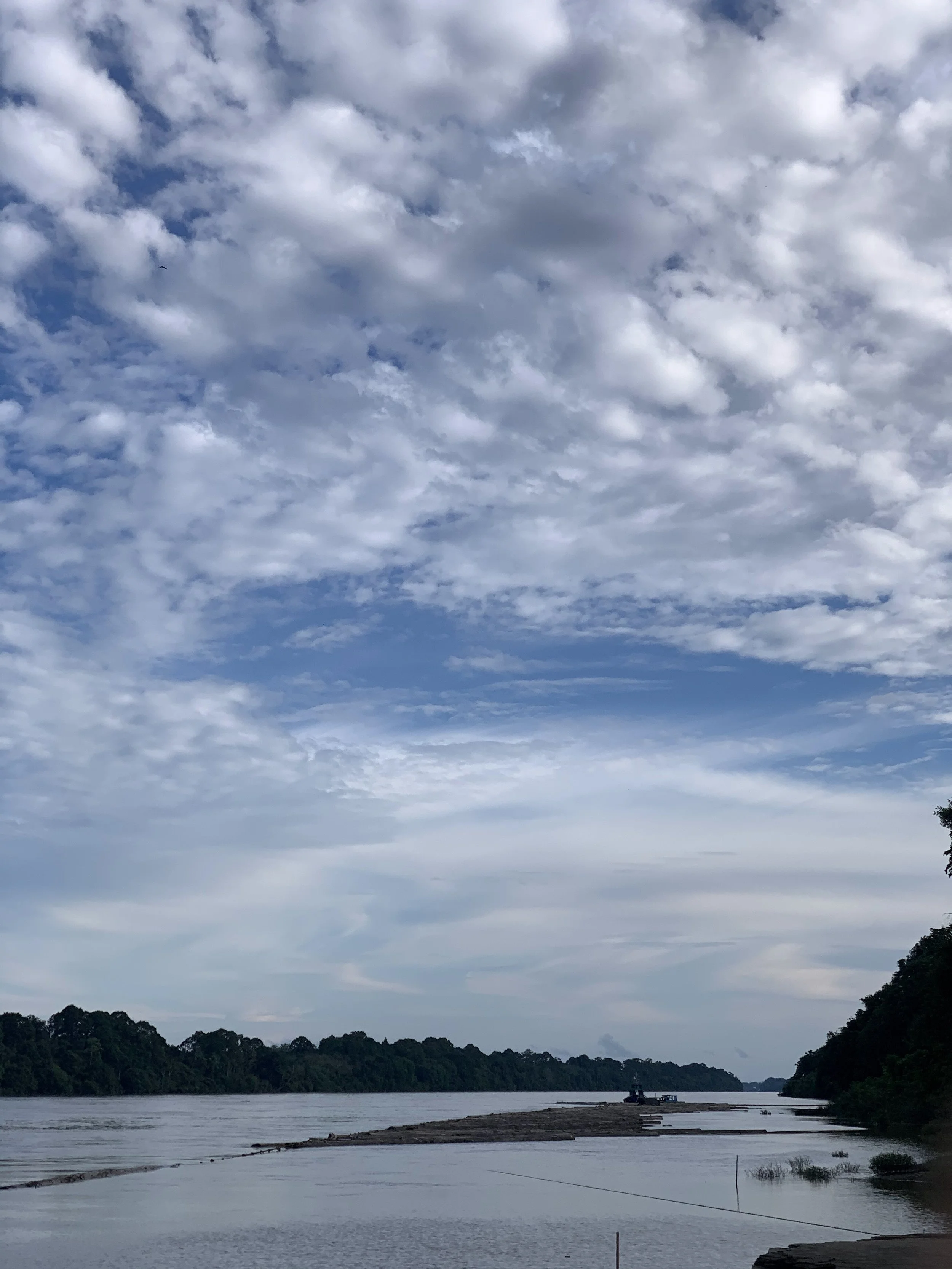 IMG_3356.jpeg
