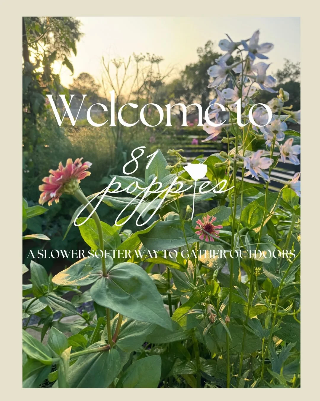 The new 81 Poppies website is finally here. A space inspired by slowing down, gathering outdoors, creating beauty, and reconnecting with nature. 
Inside you&rsquo;ll find Seeds &amp; Sip experiences, garden inspiration, workshops, and more thoughtful