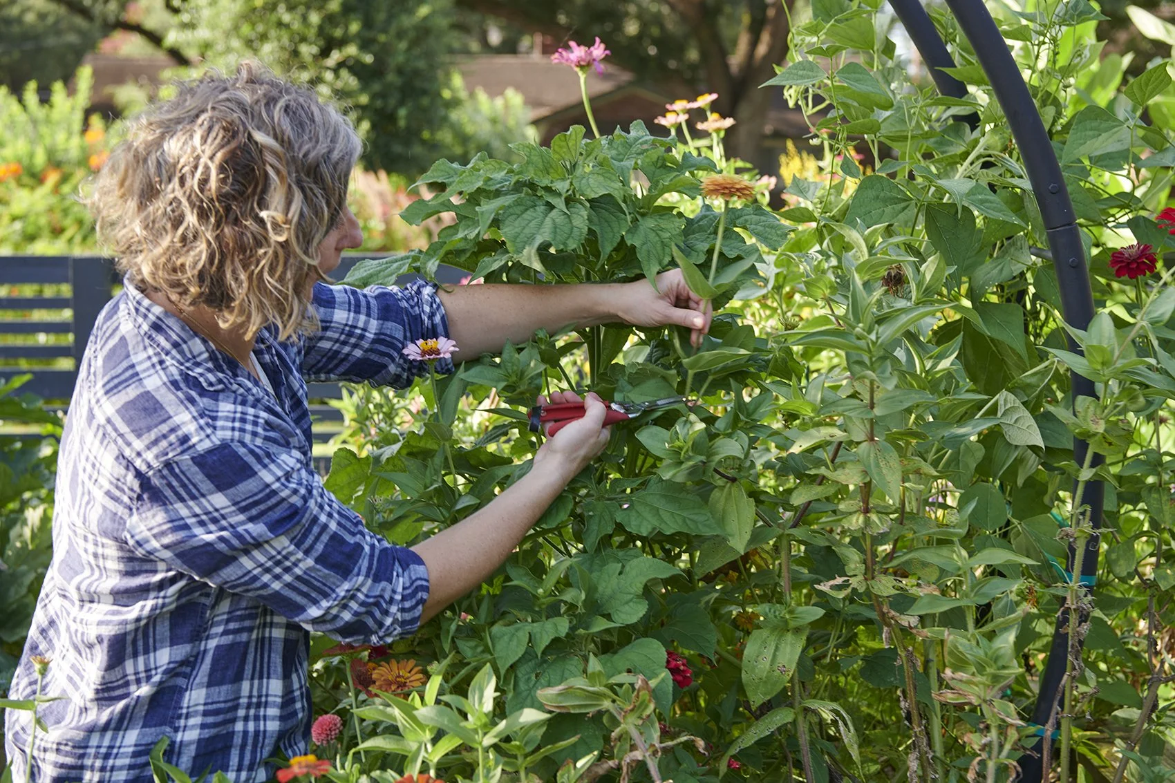 Summer Gardening in Houston: Don’t let the heat stop you