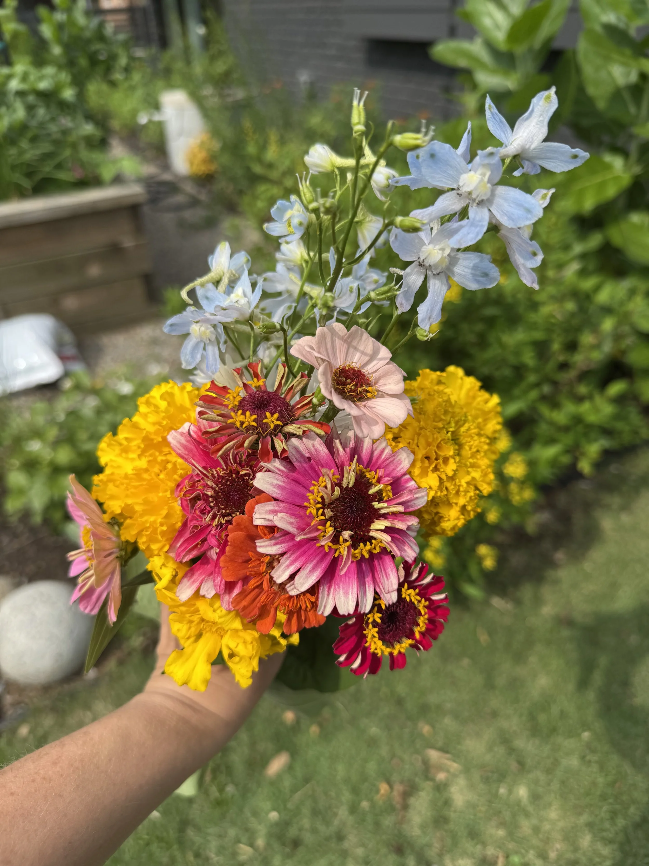 IMG_7970.jpeg