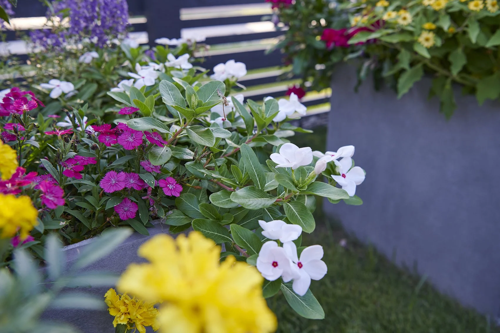 Container Garden Styling