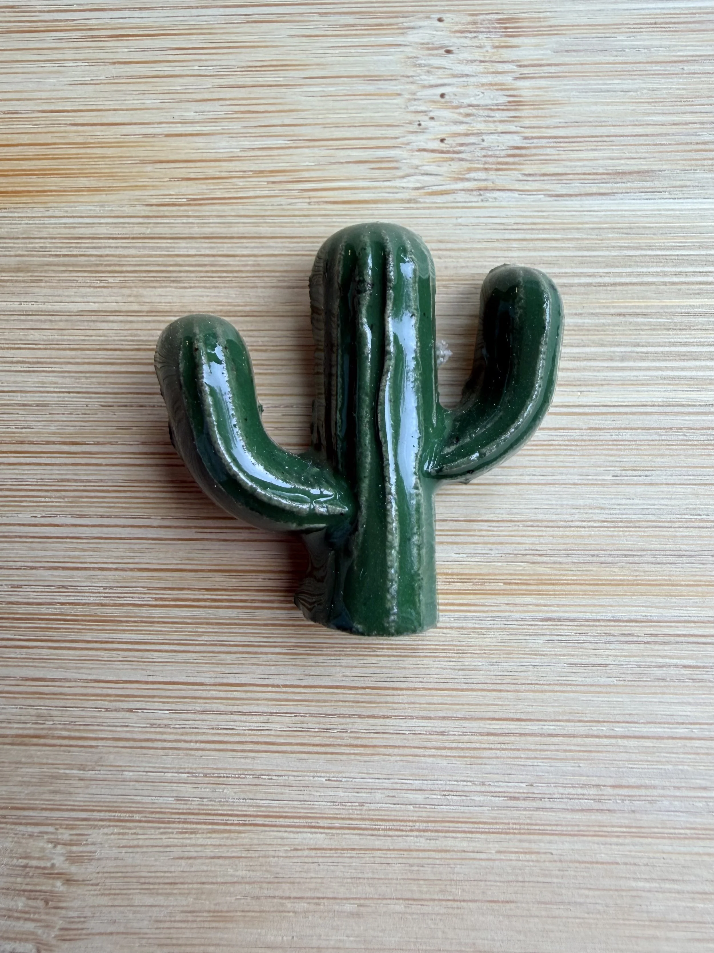Cactus Magnet