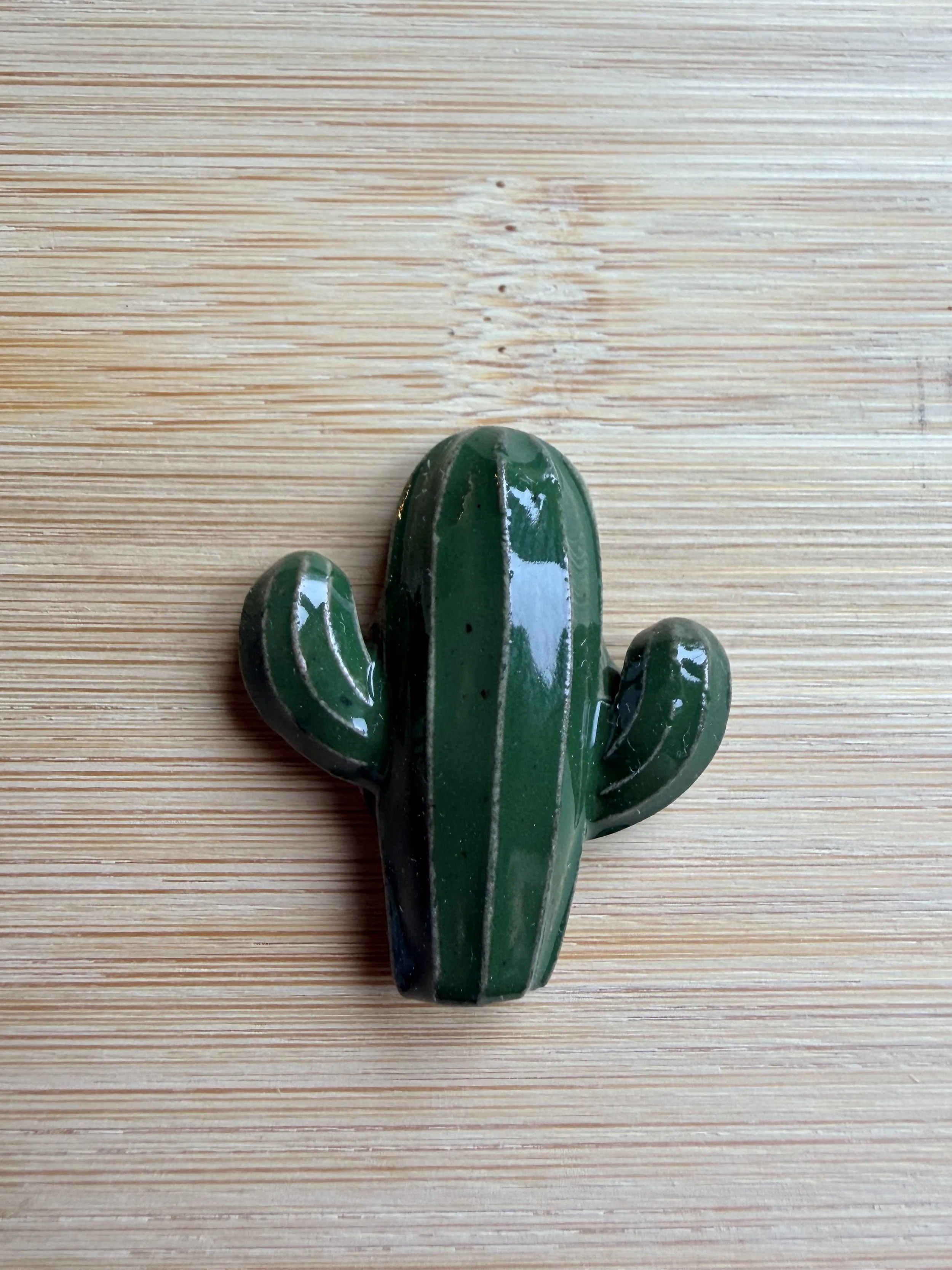 Cactus Magnet
