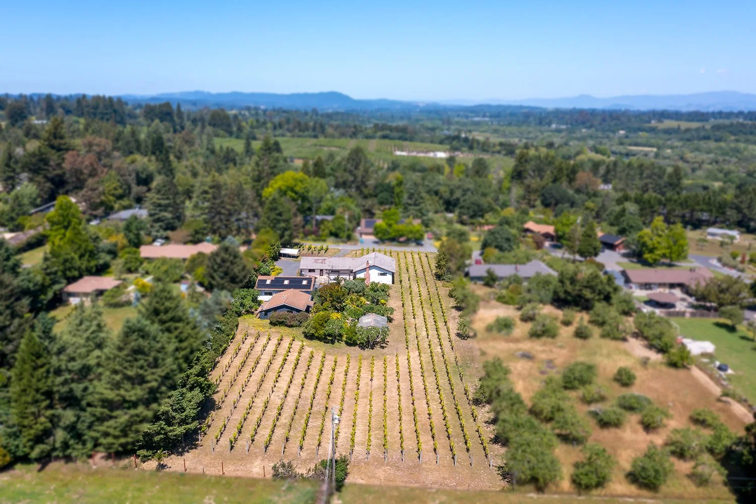 Aerial view of a residential area with houses, trees, and vineyards in a rural landscape under a blue sky.