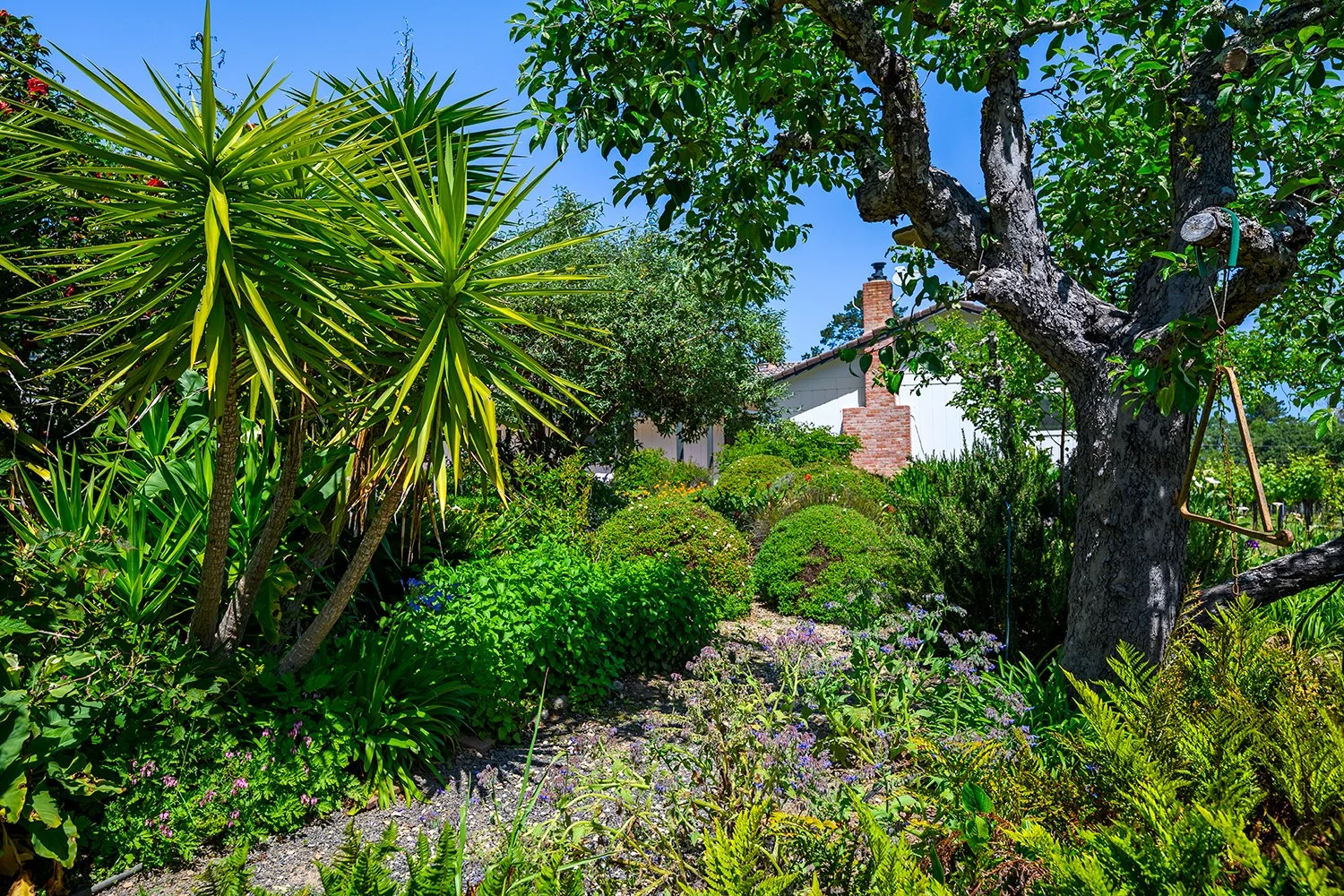 A lush, green garden with various plants and trees, including a large topiary, tropical plants, and flowering bushes. A house with a chimney is visible in the background under a bright blue sky.
