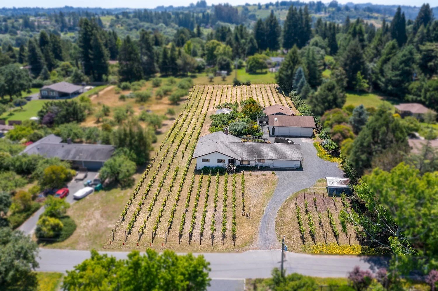 Aerial view of a residential property with a vineyard, several buildings, a driveway, and surrounding trees in a lush, green landscape.
