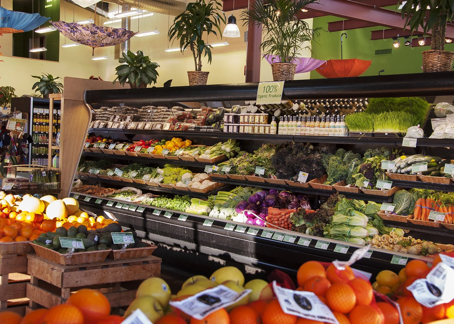 Display of fresh vegetables, fruits, and organic produce at a grocery store's produce section, with various greens, carrots, zucchini, and oranges arranged on shelves and baskets.
