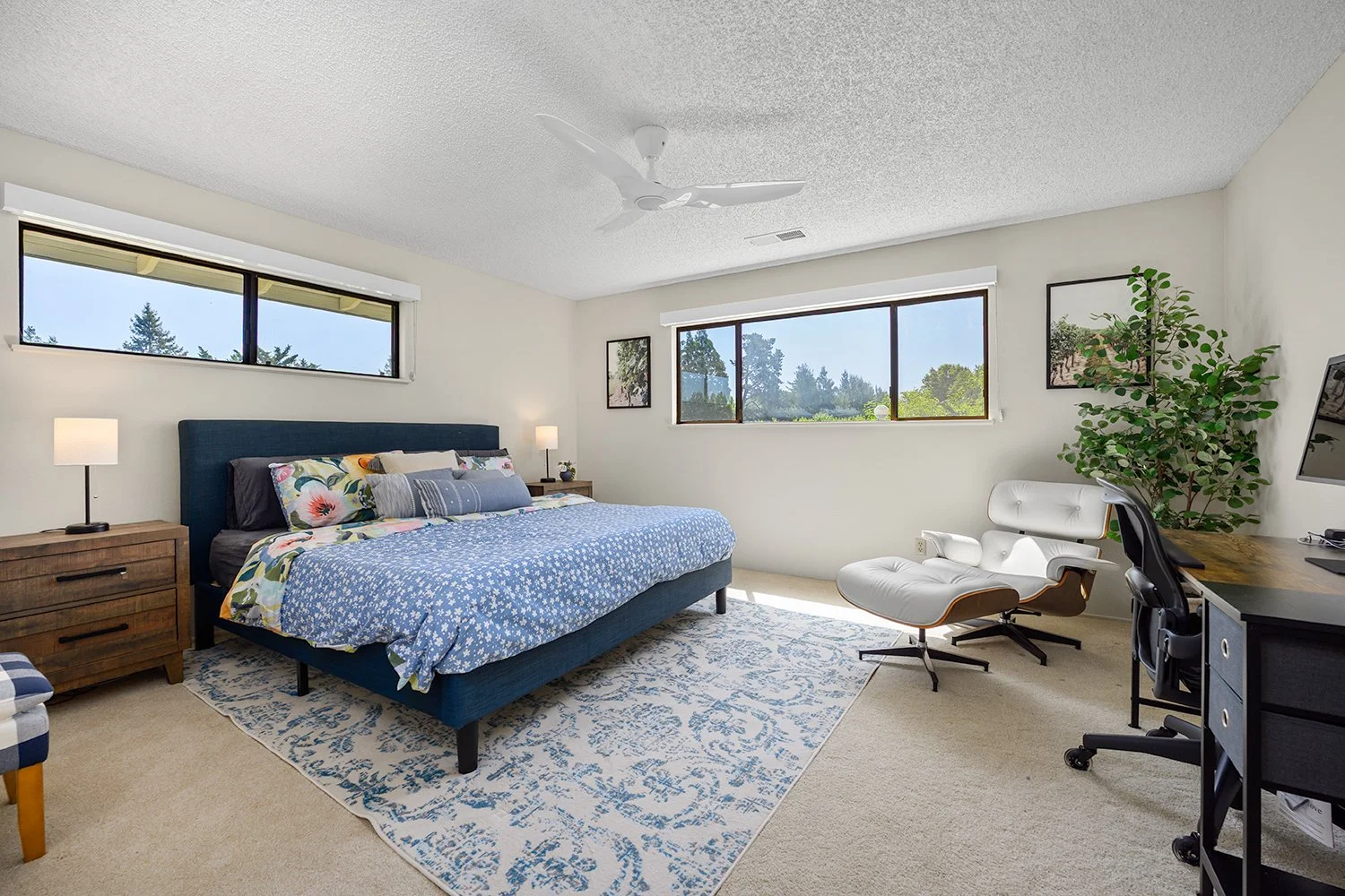 A bedroom with a blue bed, nightstands with lamps, a white lounge chair with matching ottoman, and a black desk with a computer and chair, large windows with a view of trees, a ceiling fan, a patterned rug, and a potted plant.