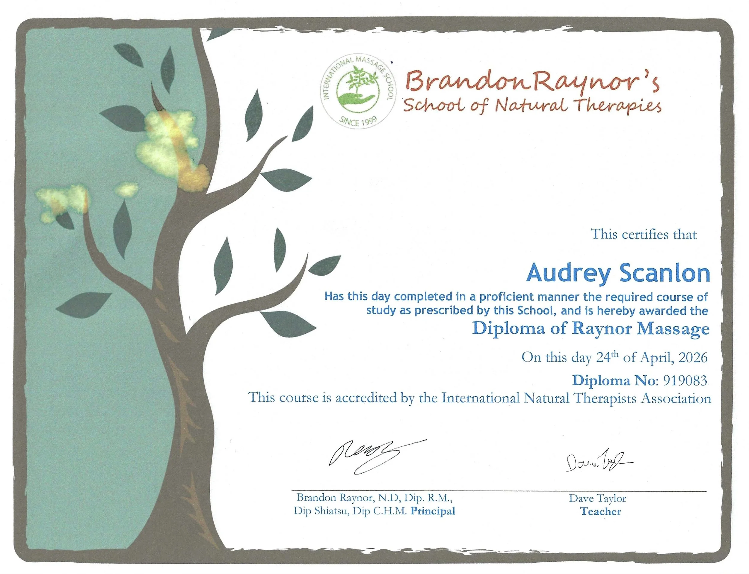 A certificate of achievement from the International Natural Therapists Association awarded to Audrey Scanlon on April 24, 2026, signed by Brandon Raynor, Dave Taylor, and others.