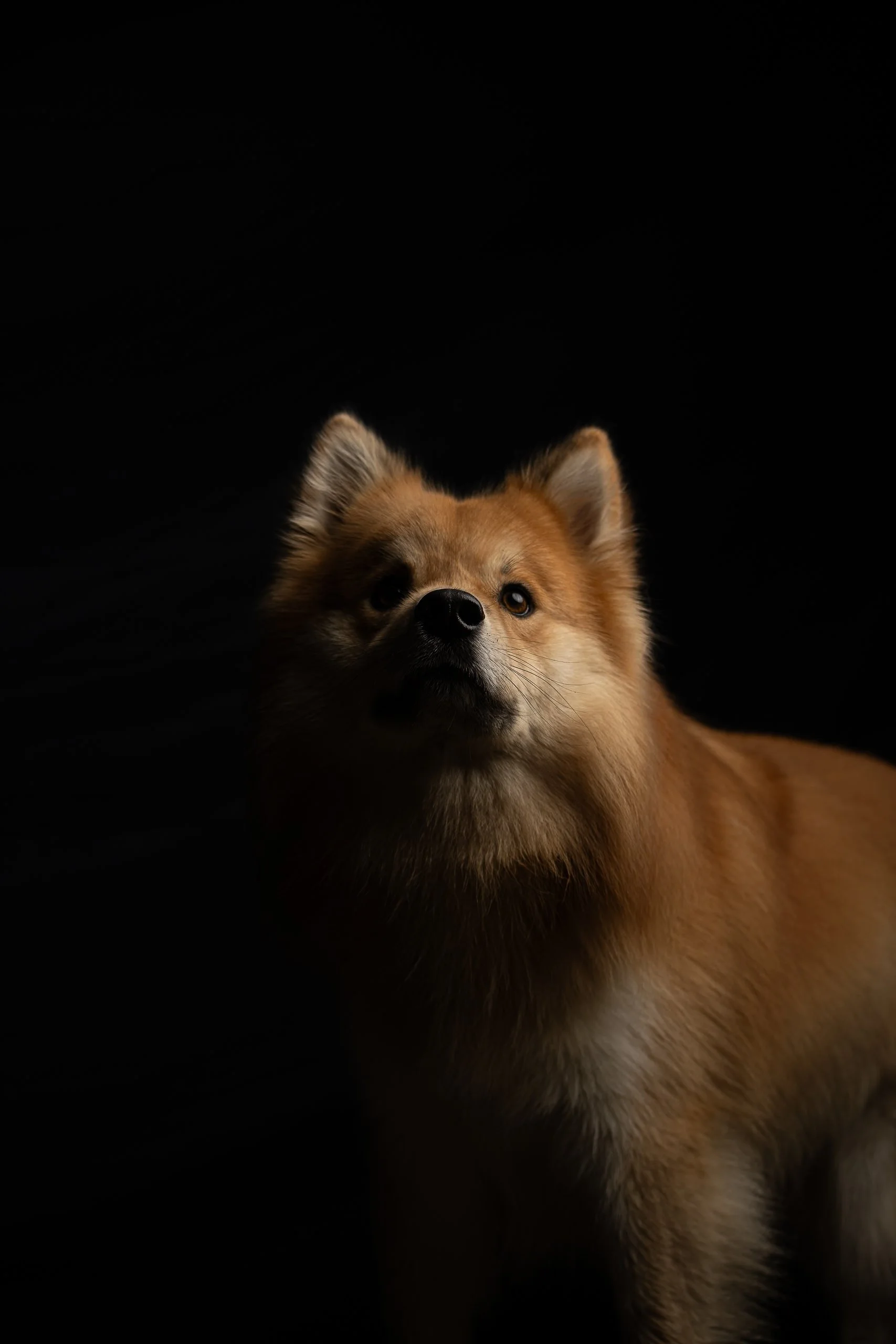 DSC_9681.jpg