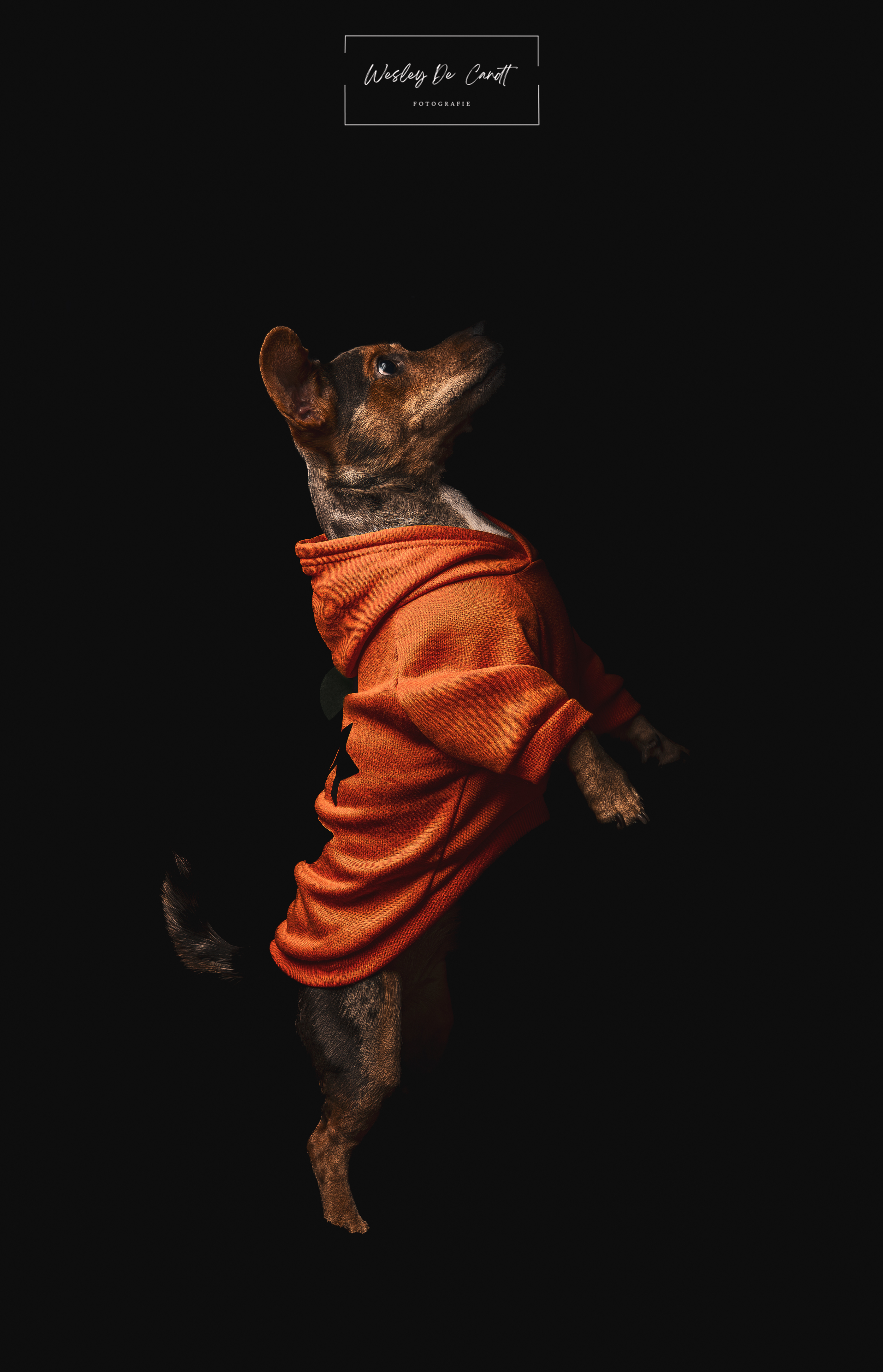 DSC_0353.png