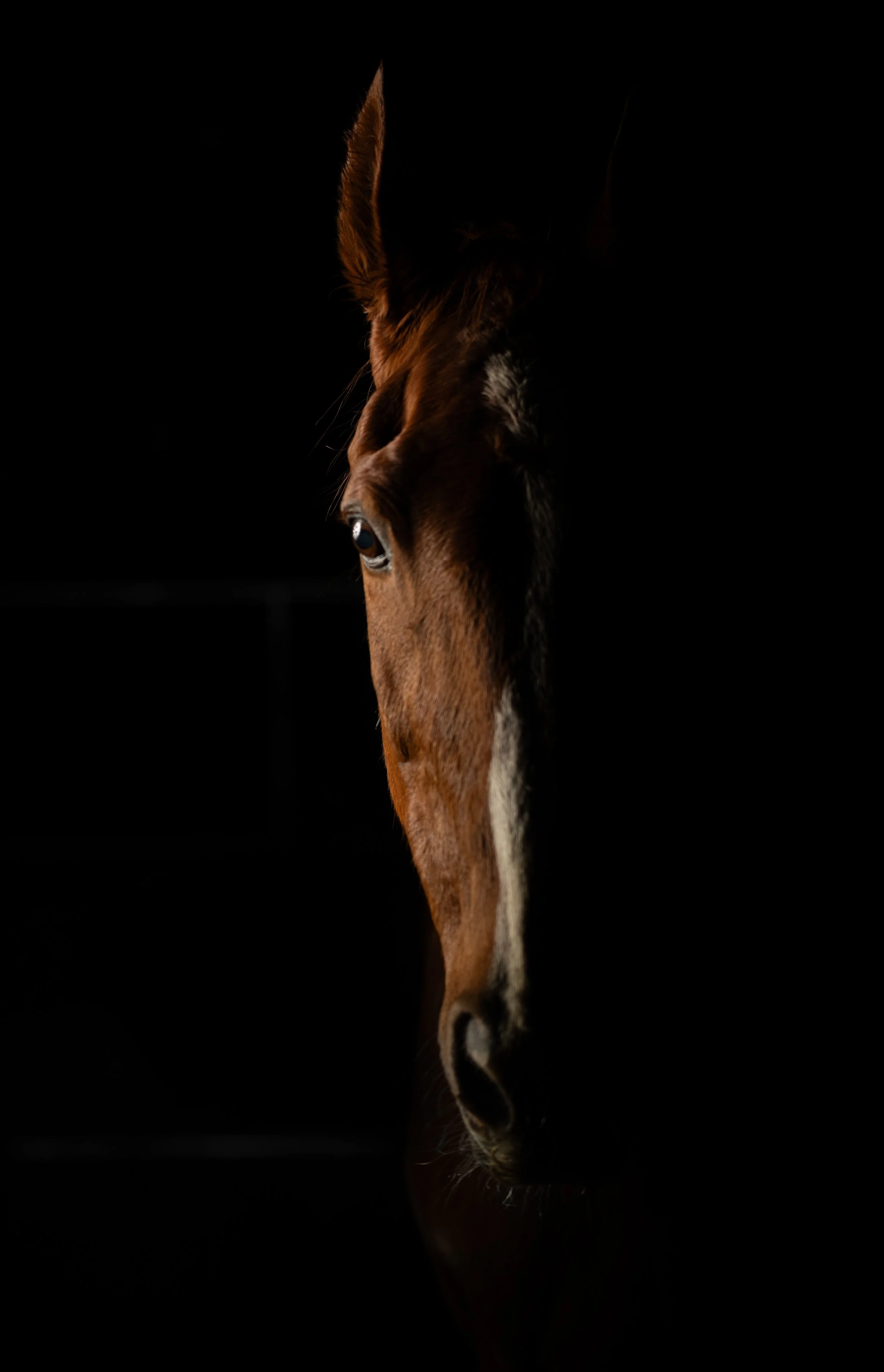 DSC_7036.jpg