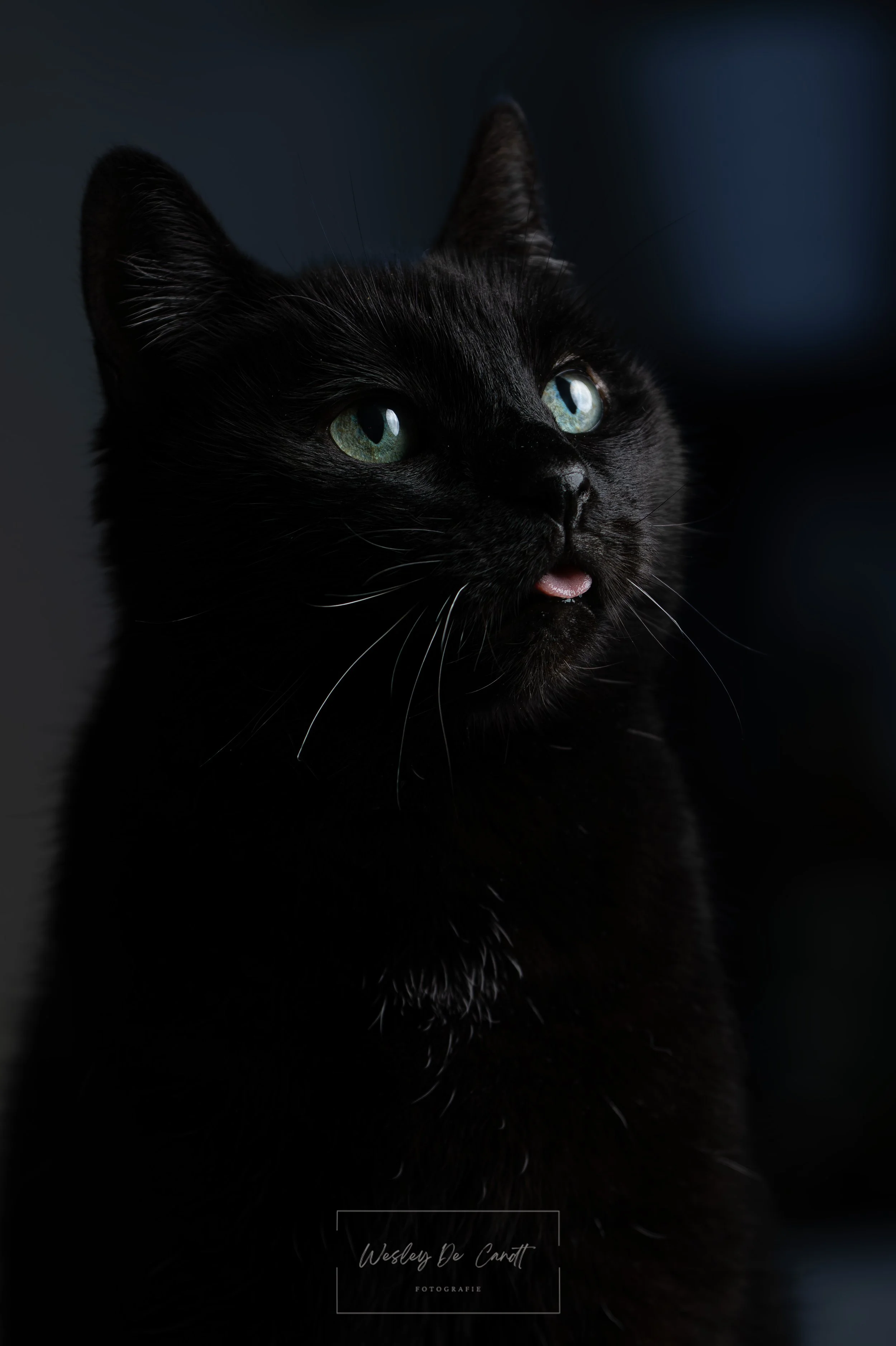 DSC_0518-Enhanced-NR.jpg