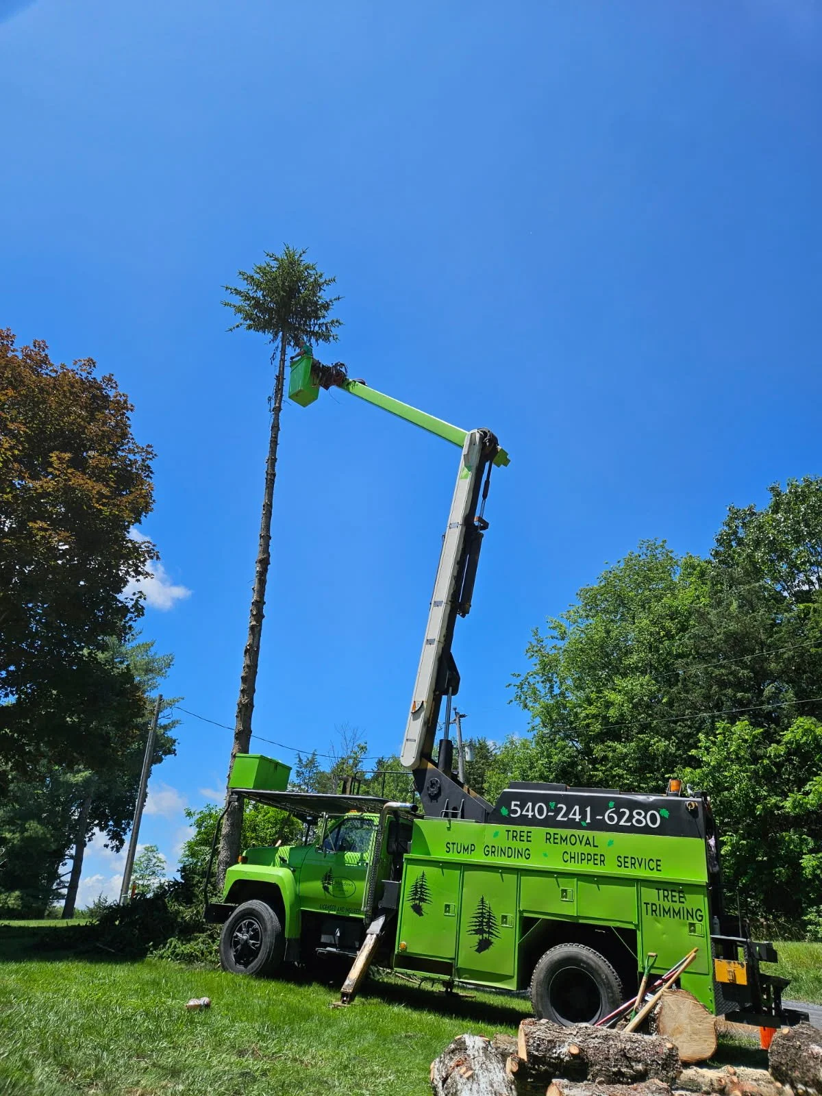 Tree Removal