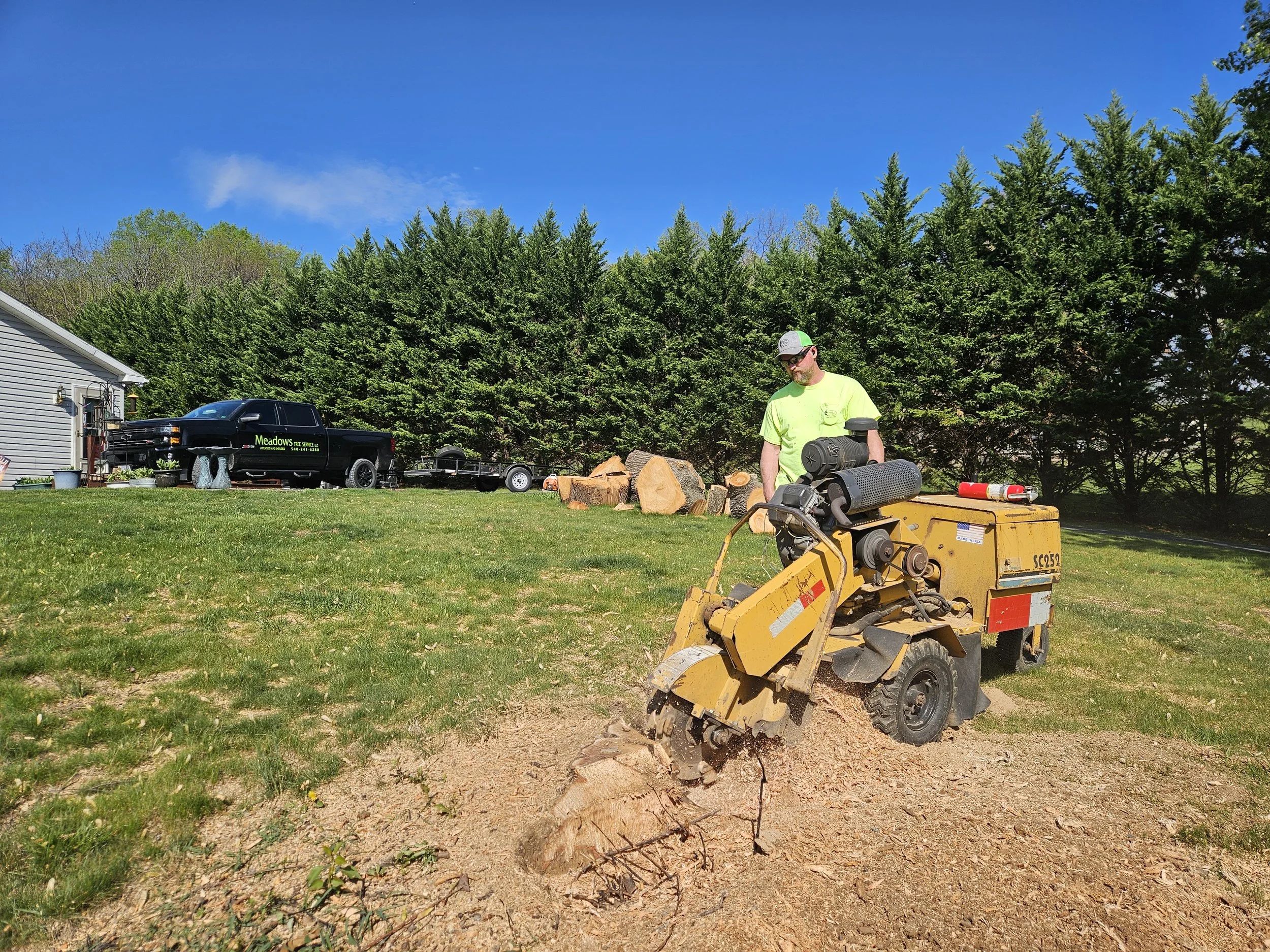 Stump Grinding & Removal