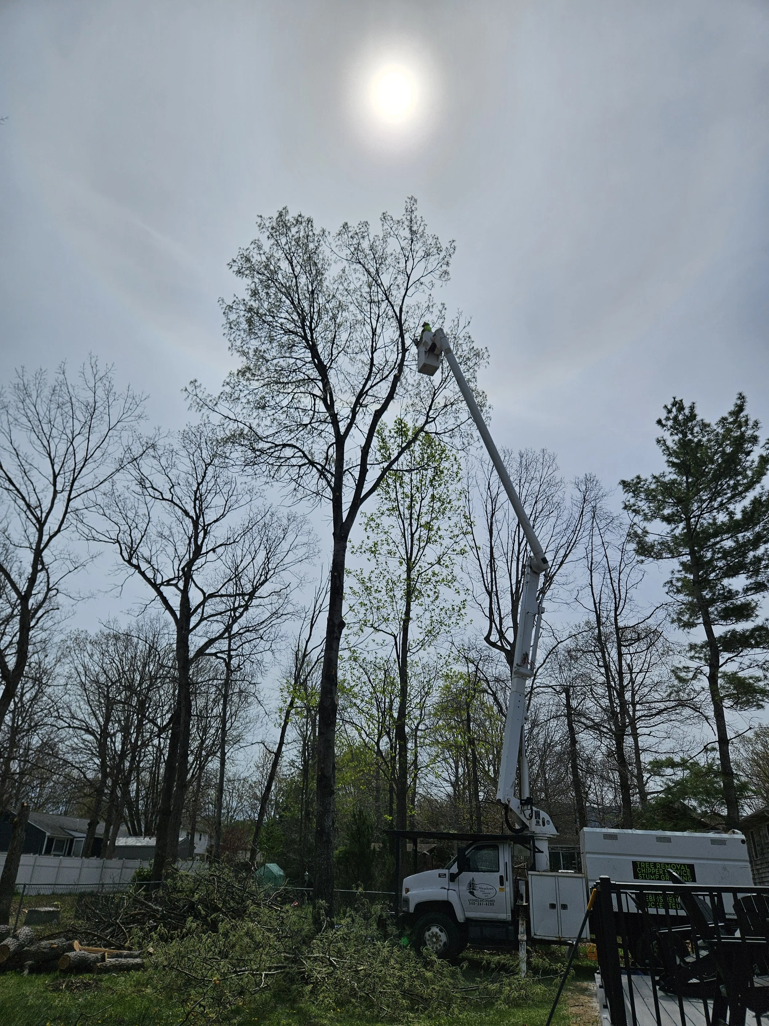 20260409_130647[1].jpg