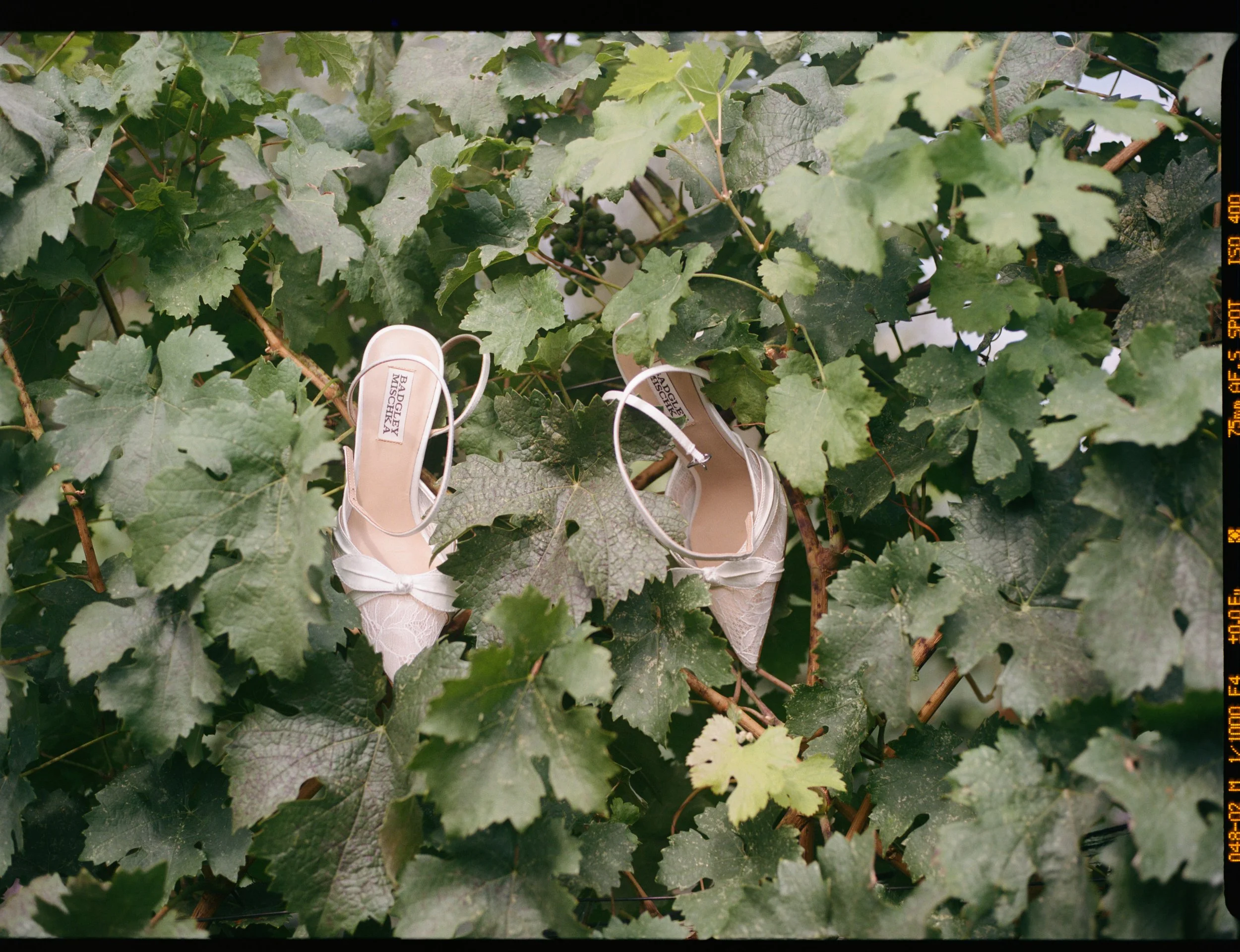 Tait+Adam_Film-43 (1).jpg