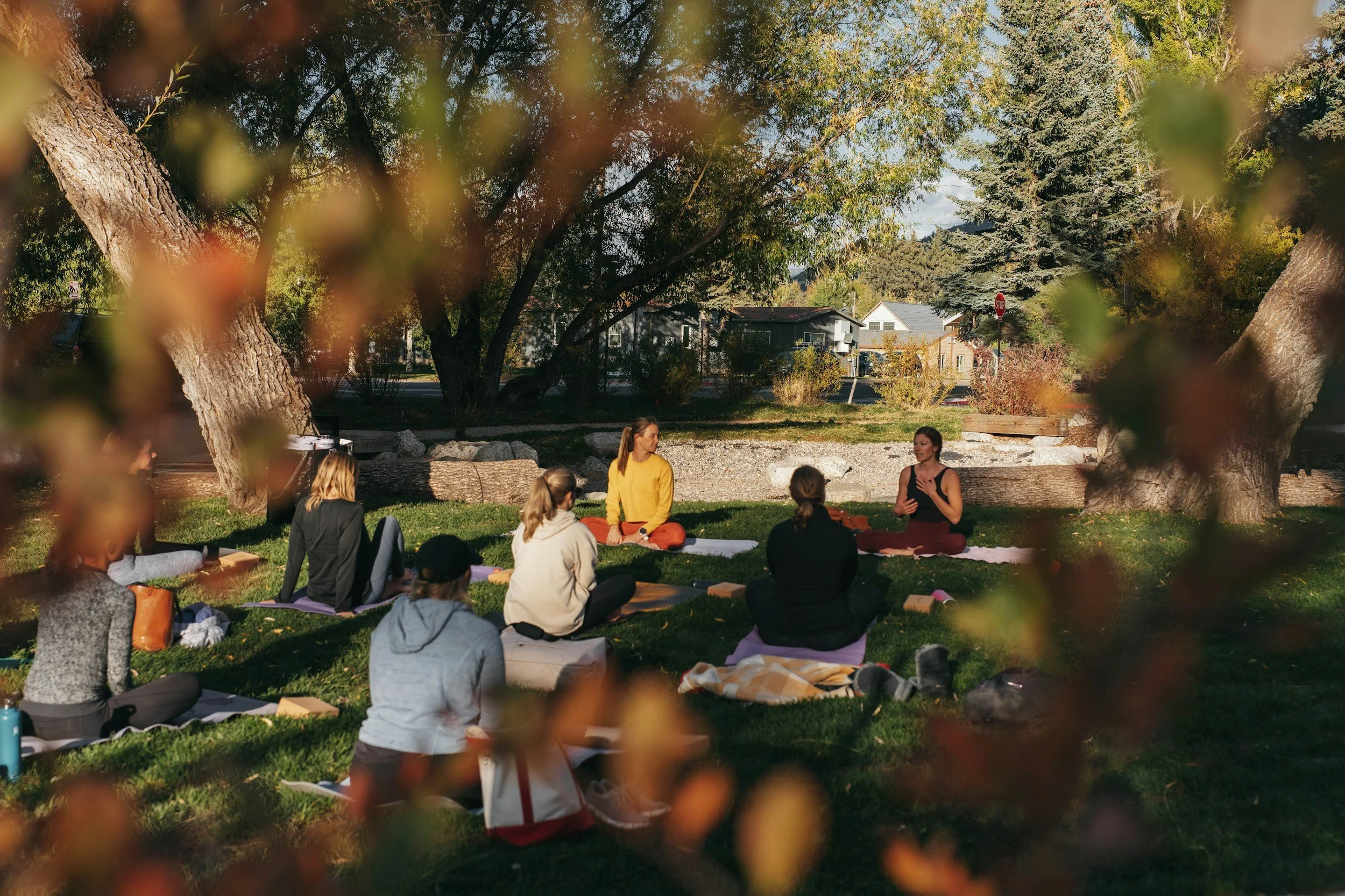 A group of people participating in an outdoor yoga or meditation class in a park during daytime, surrounded by trees with green and autumn-colored leaves.