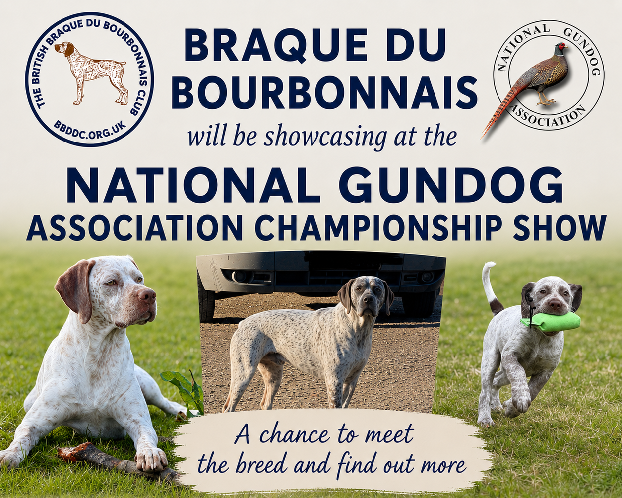 NGA - Breed Showcase